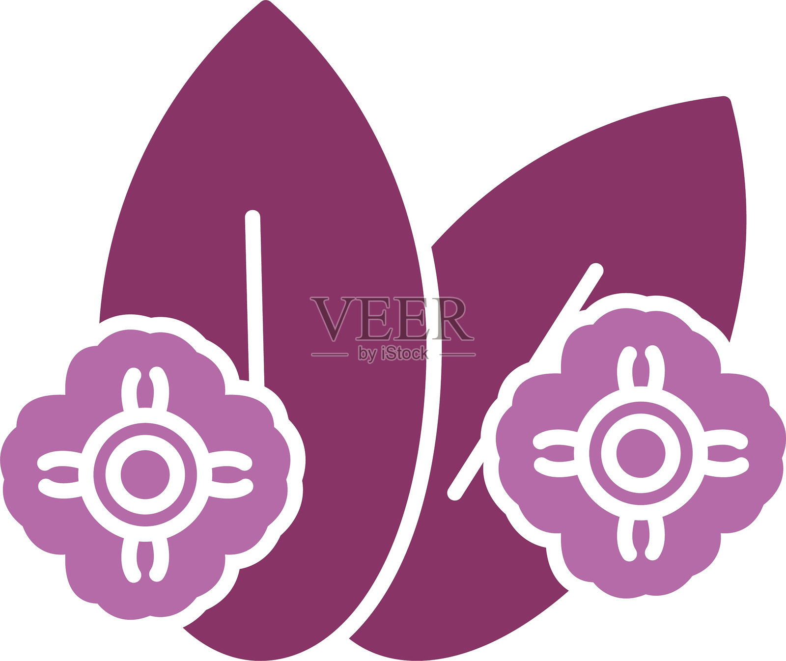 双色图标的乳草插画图片素材