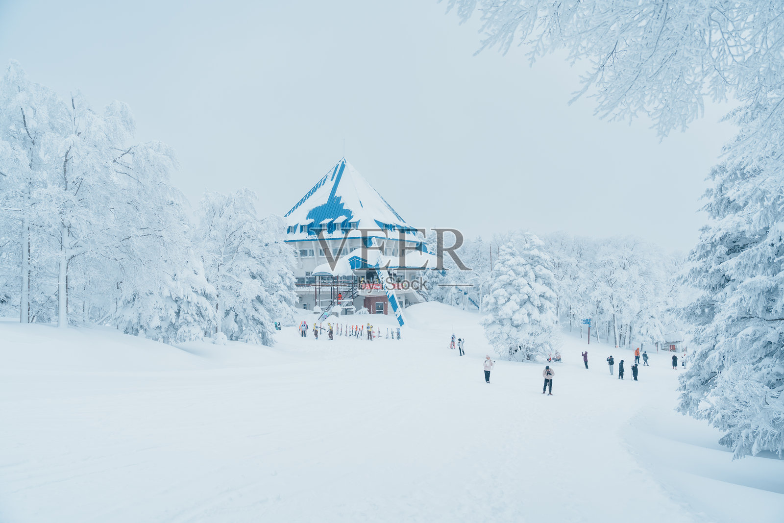 日本山形县蔵王温泉滑雪度假村的雪山。以雪怪和滑雪而闻名,是游客观光的地标。日本山形,2024年1月24日。照片摄影图片