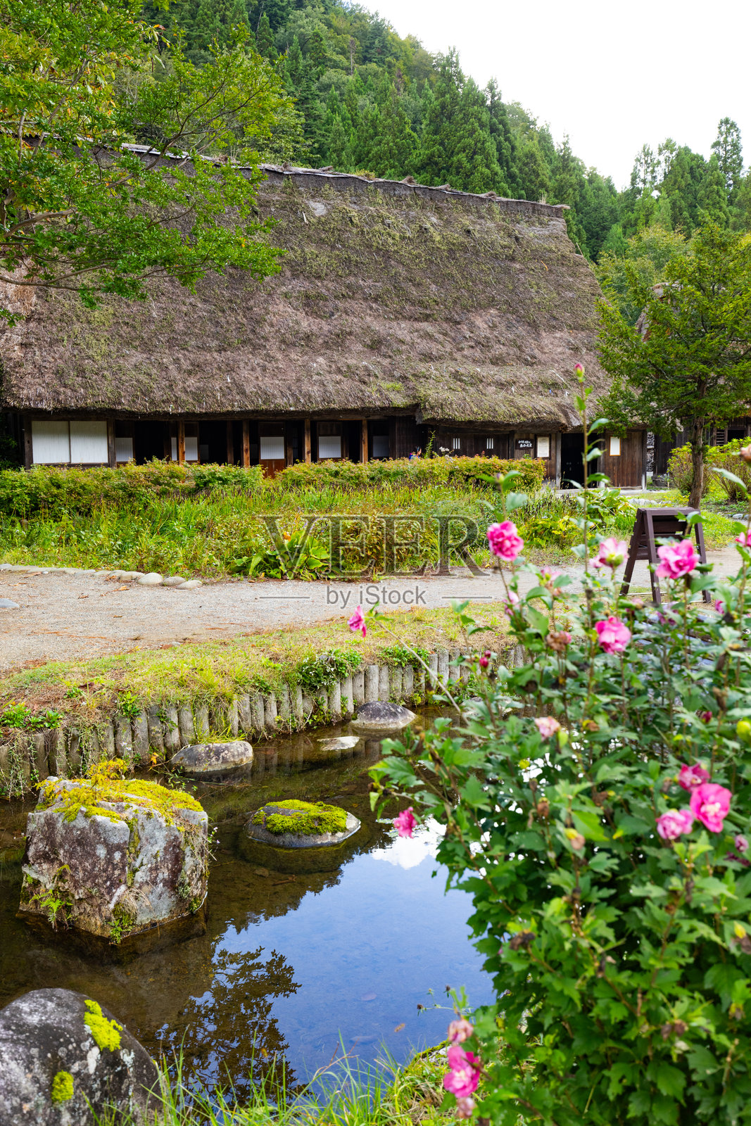 白川乡。传统日本照片摄影图片