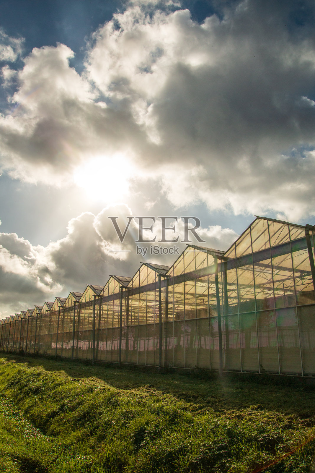 阳光是一种完全免费的资源，可以在温室园艺中得到很好地利用。照片摄影图片