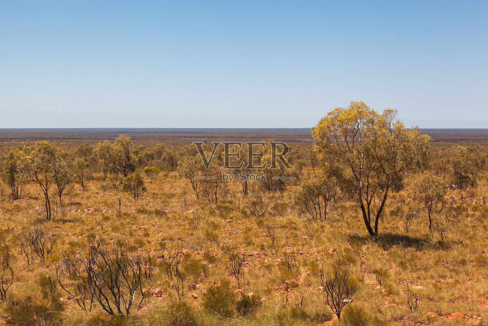 在阳光明媚的日子里探索北领地广袤的澳大利亚内陆照片摄影图片