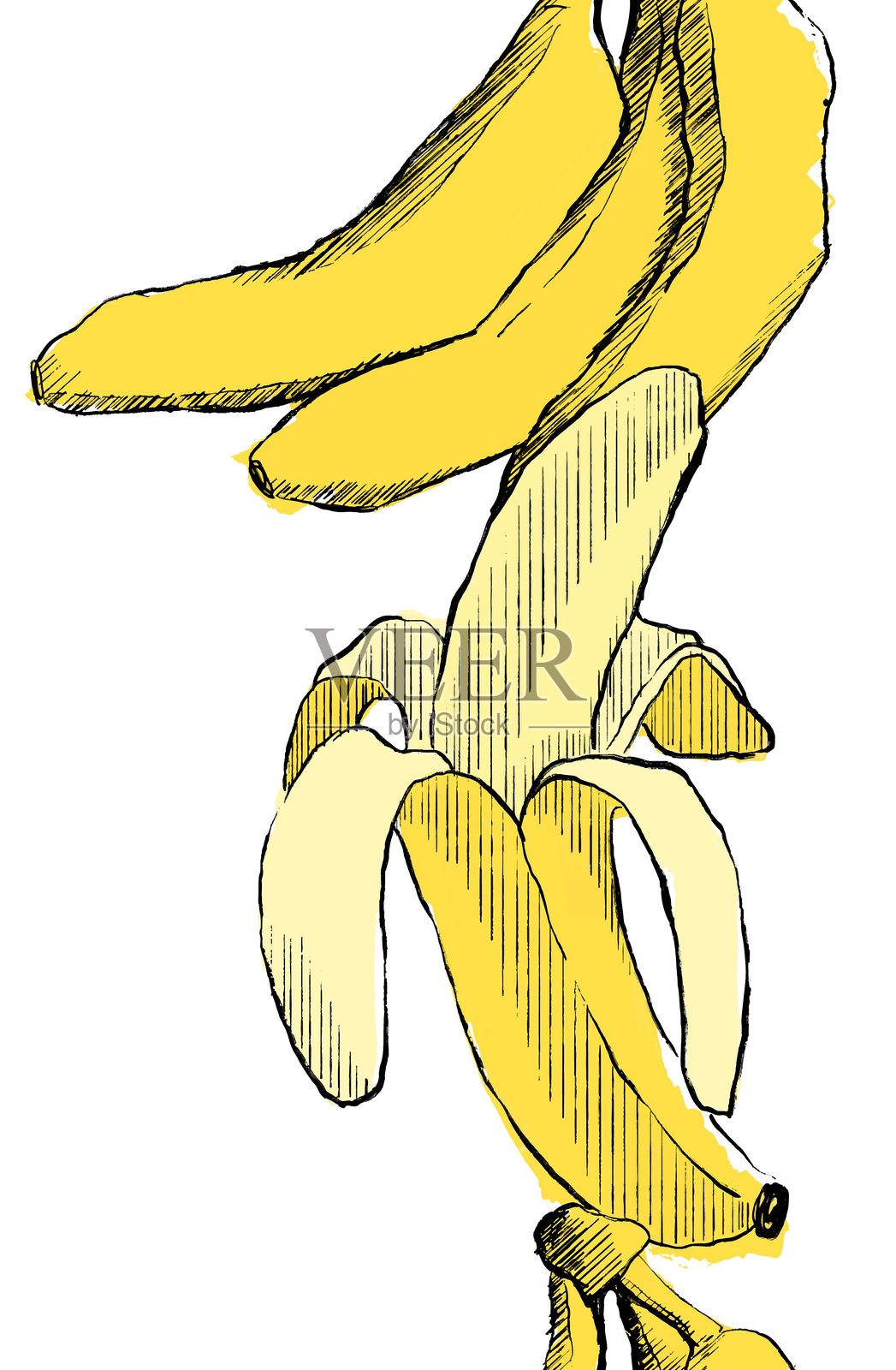 无缝垂直边框香蕉矢量图案，图形热带丛林森林插画图片素材