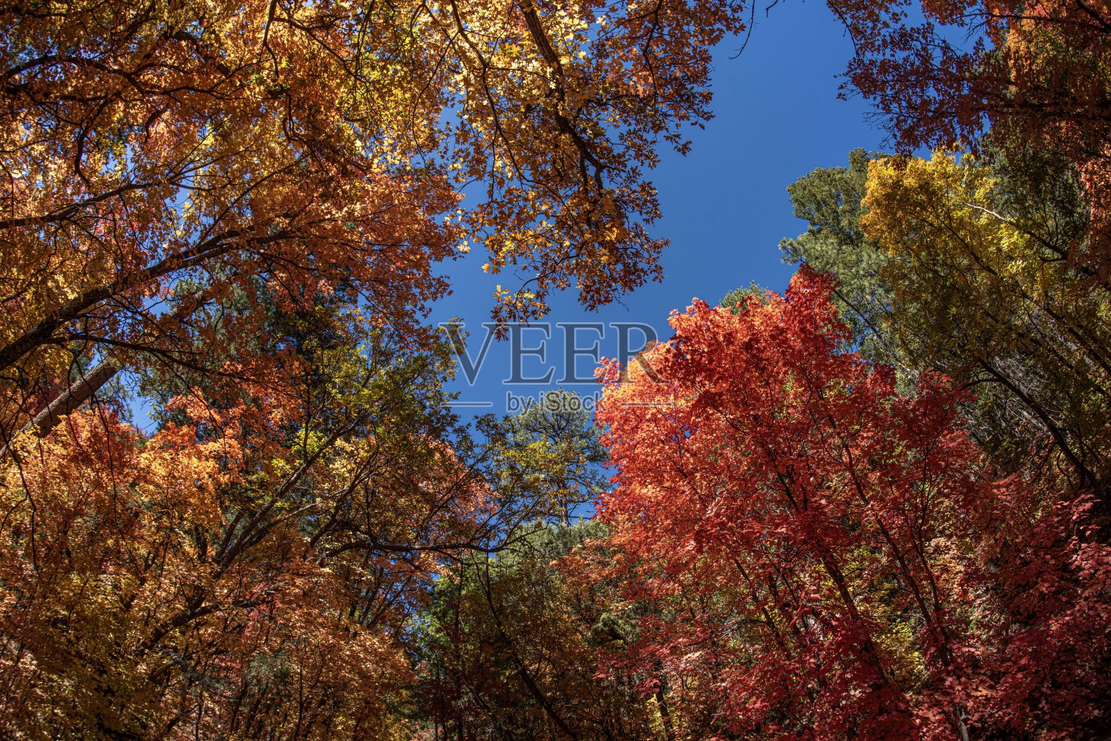 独立日峡谷照片摄影图片