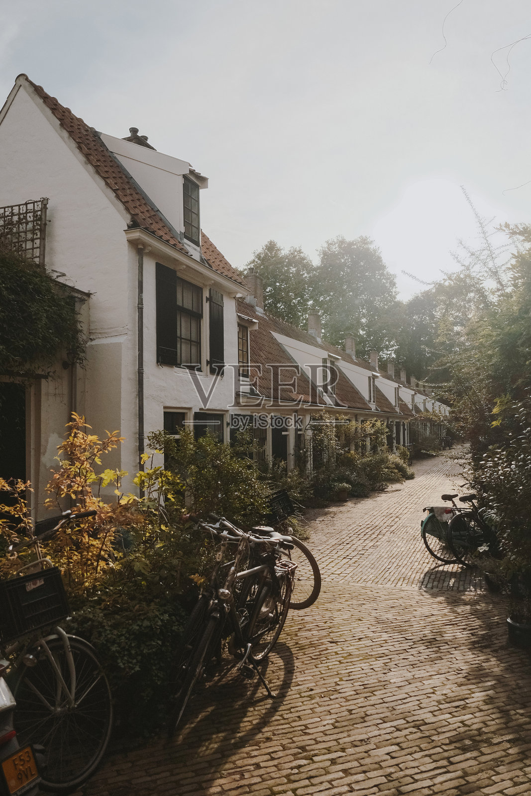 乌特勒支的街道与自行车照片摄影图片