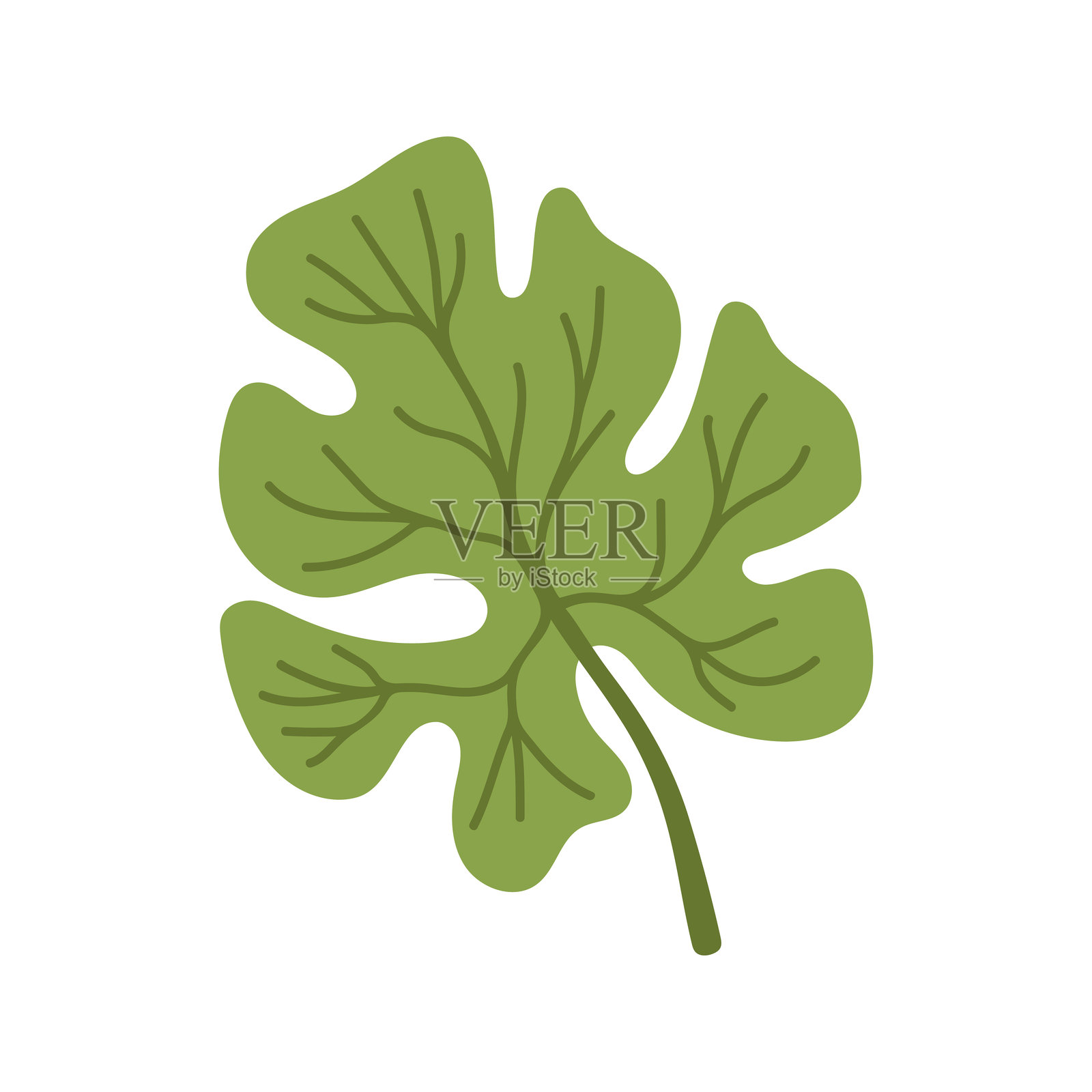 西瓜绿叶剪贴画。西瓜派对。手绘卡通夏季水果插图。插画图片素材