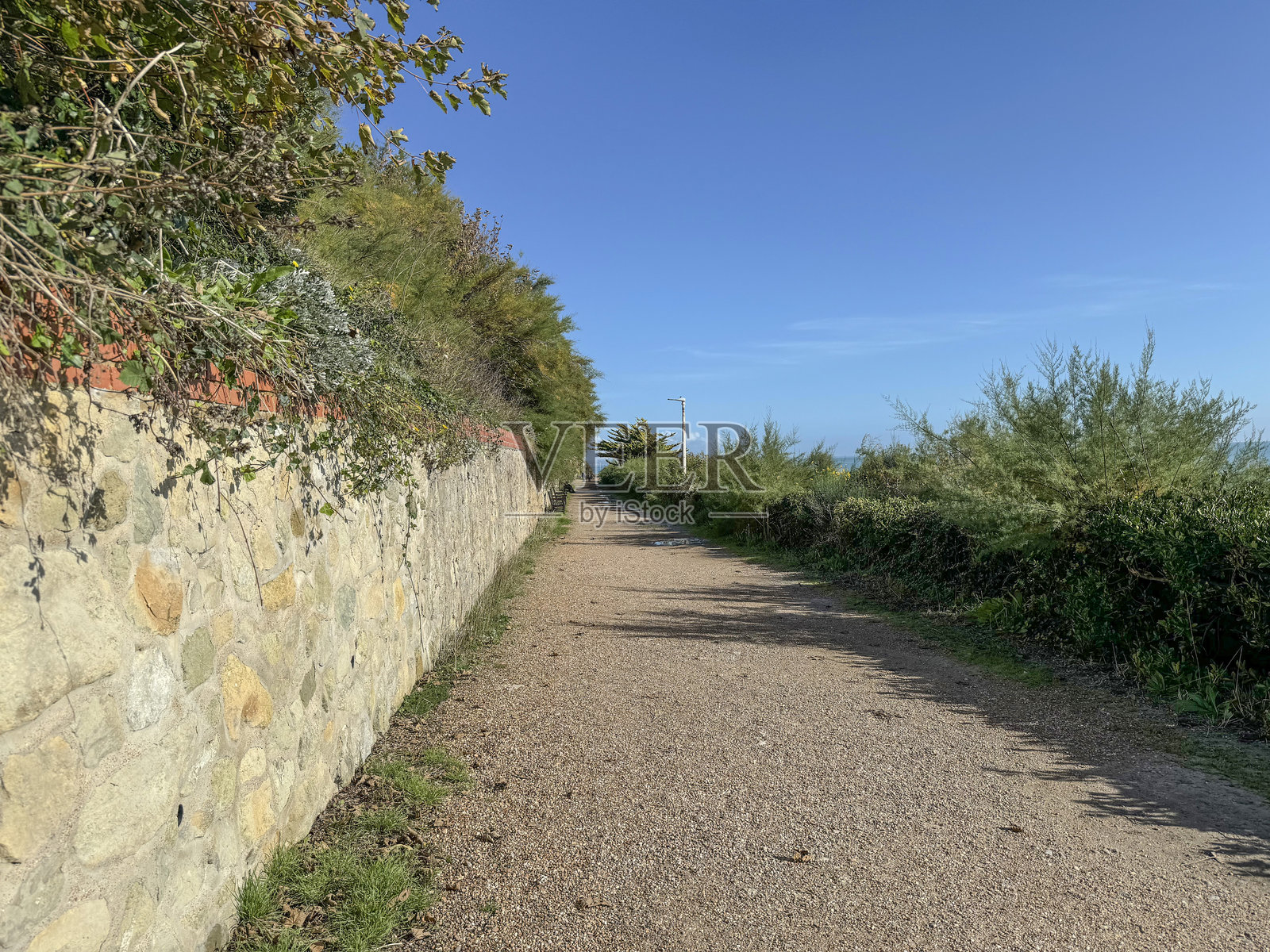 东布朗茨海滨长廊的上层步道照片摄影图片