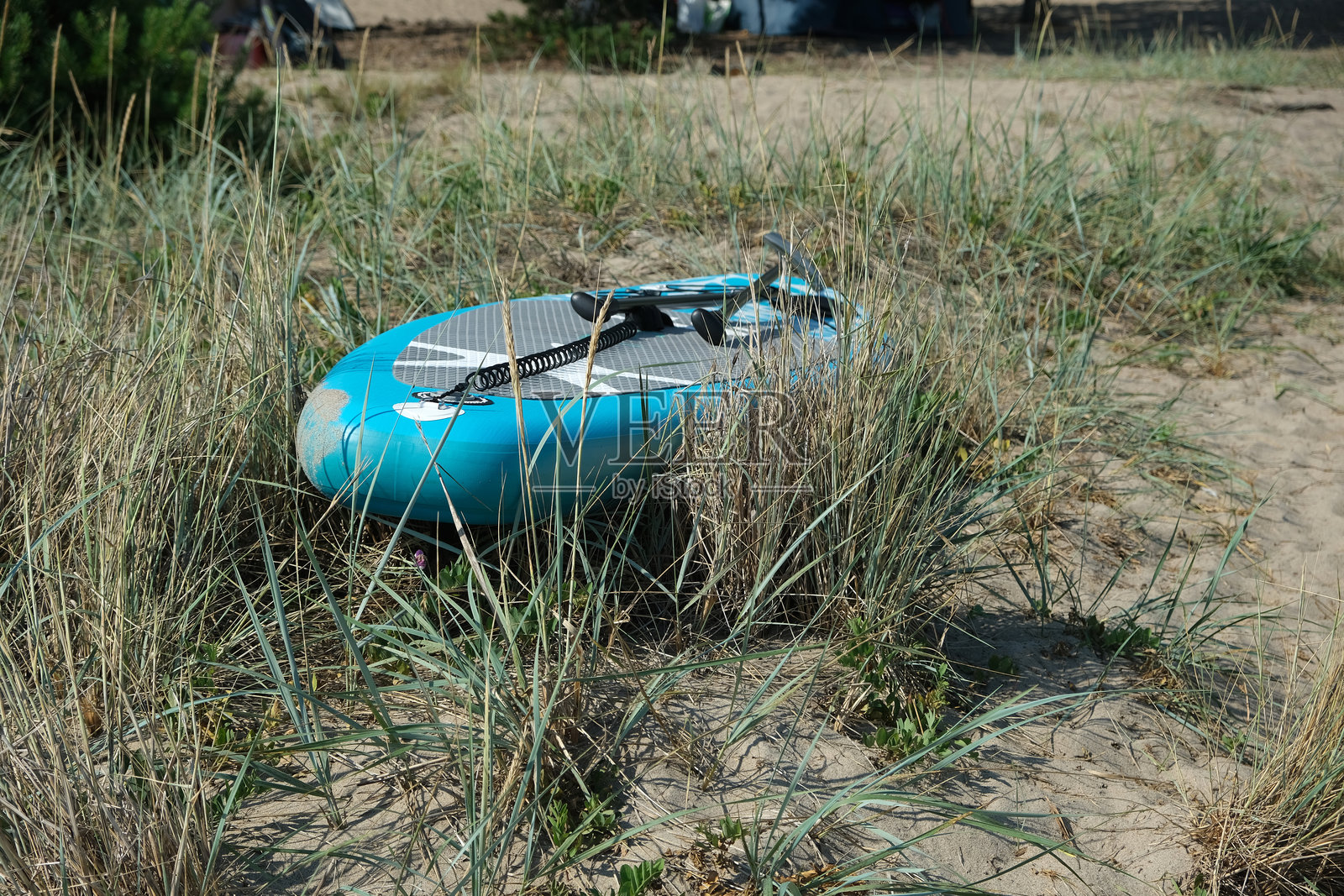 沙滩上有草的冲浪板照片摄影图片