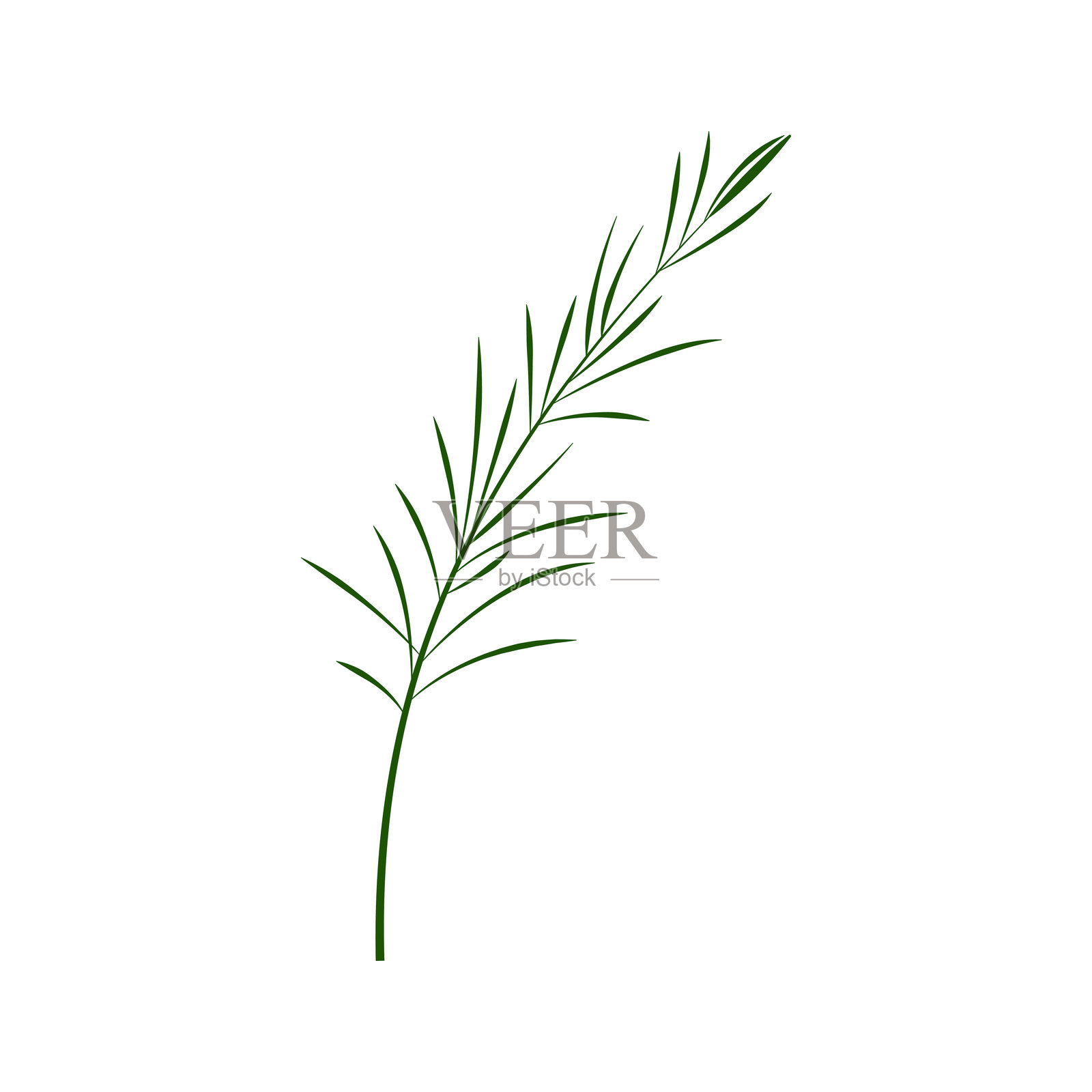 一枝迷迭香。我的15种最佳烹饪香草的色彩平面套装的一部分。白色背景上的绿植。适用于肉类、鱼类、饮品和鸡尾酒。用于开发、应用、设计、网页、用户界面、广告。矢量10 EPS插画图片素材