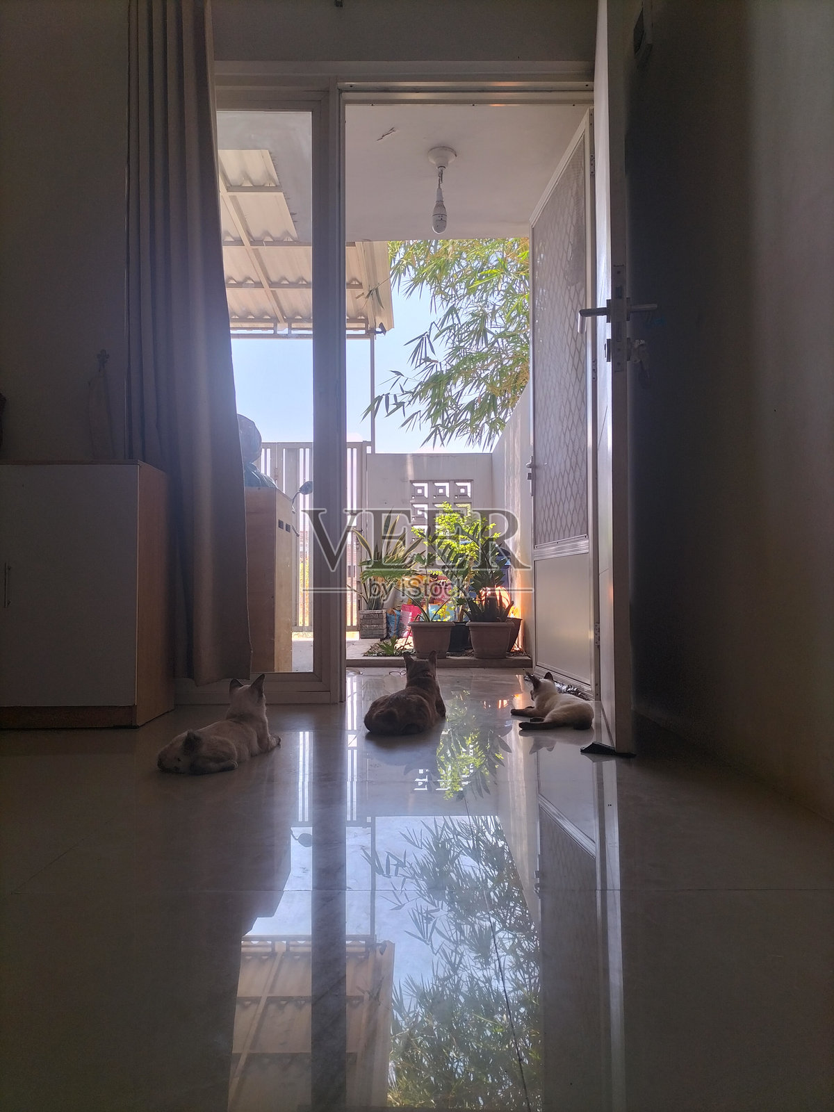 看护者照片摄影图片