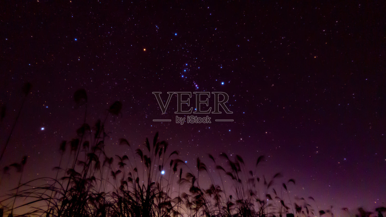 铃木山上的猎户座照片摄影图片