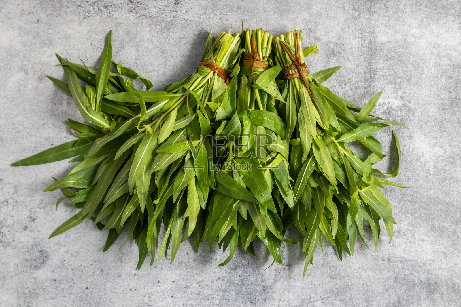 Kulekhara（湿地草）是一种药用草本植物，以其促进血液生成、保护肝脏健康和抗炎效果而闻名。照片摄影图片