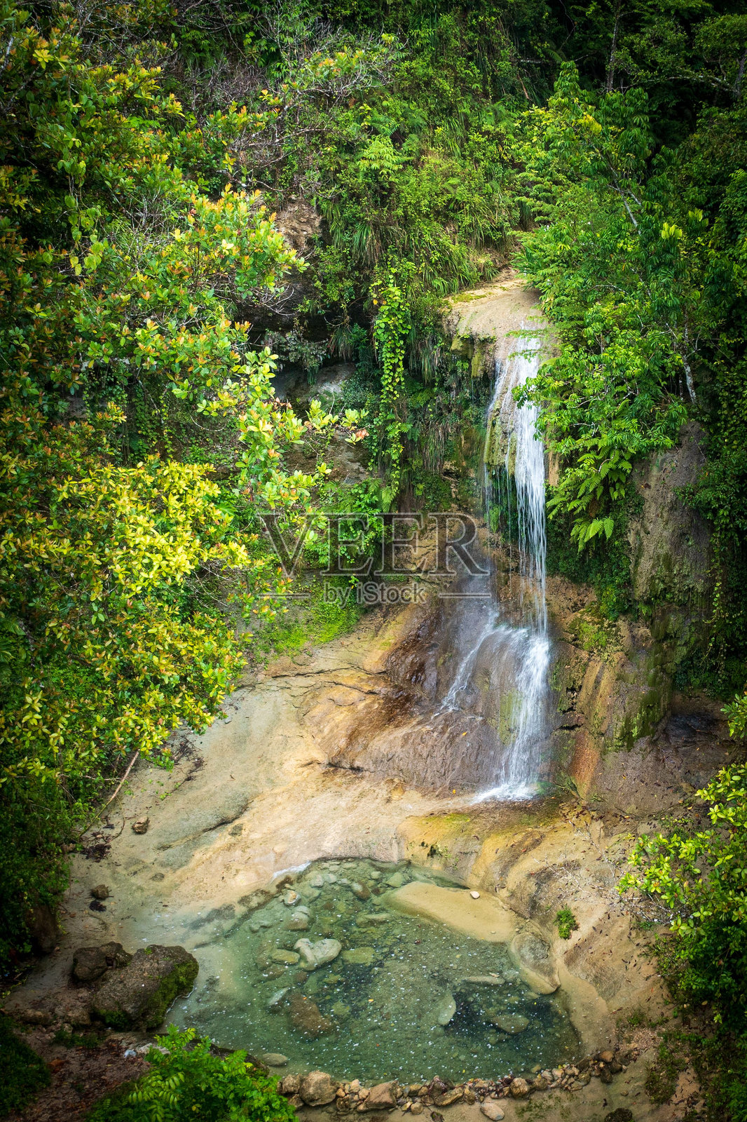 热带森林中的宁静瀑布照片摄影图片