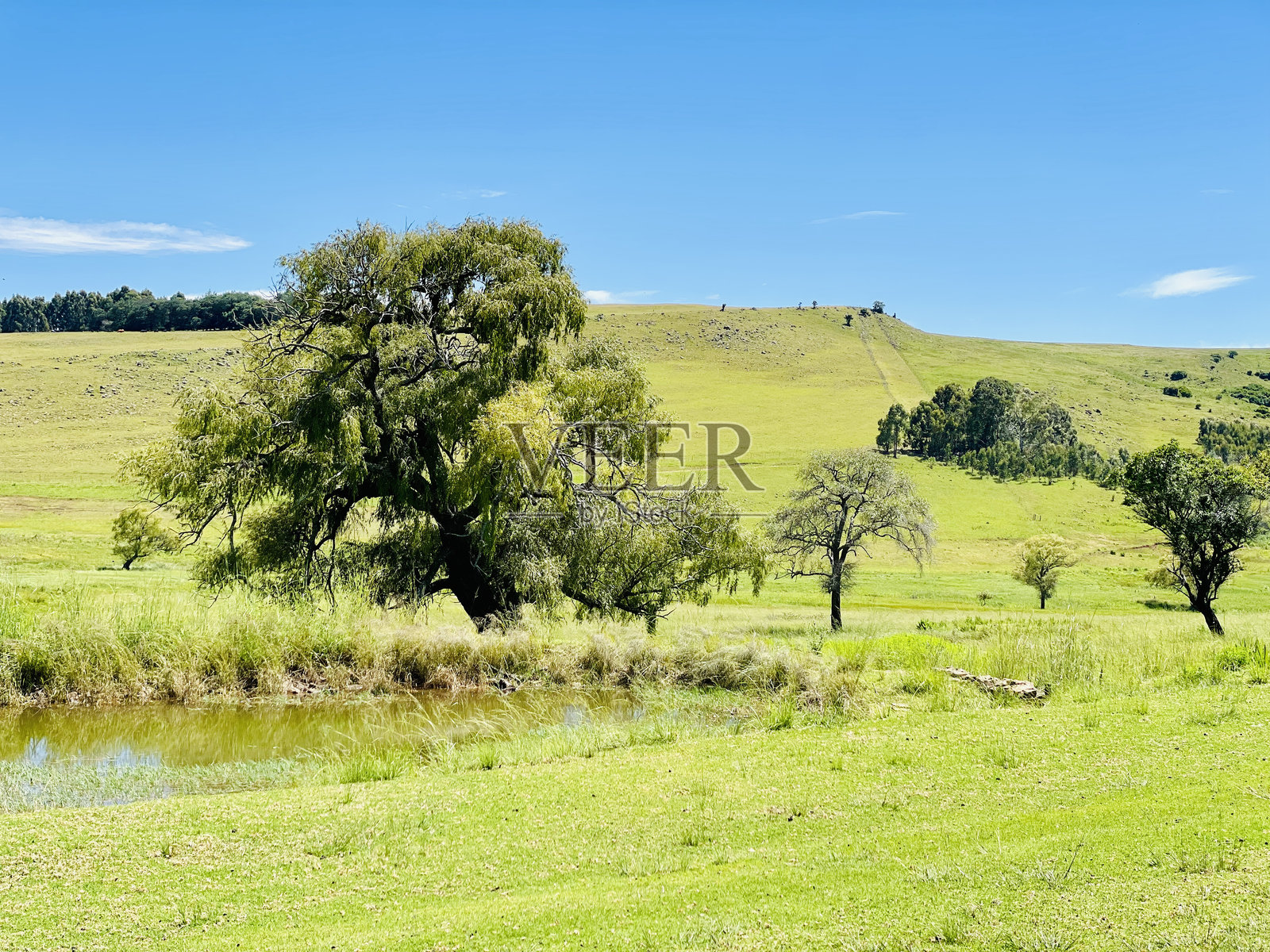 贝尔法斯特的草地照片摄影图片
