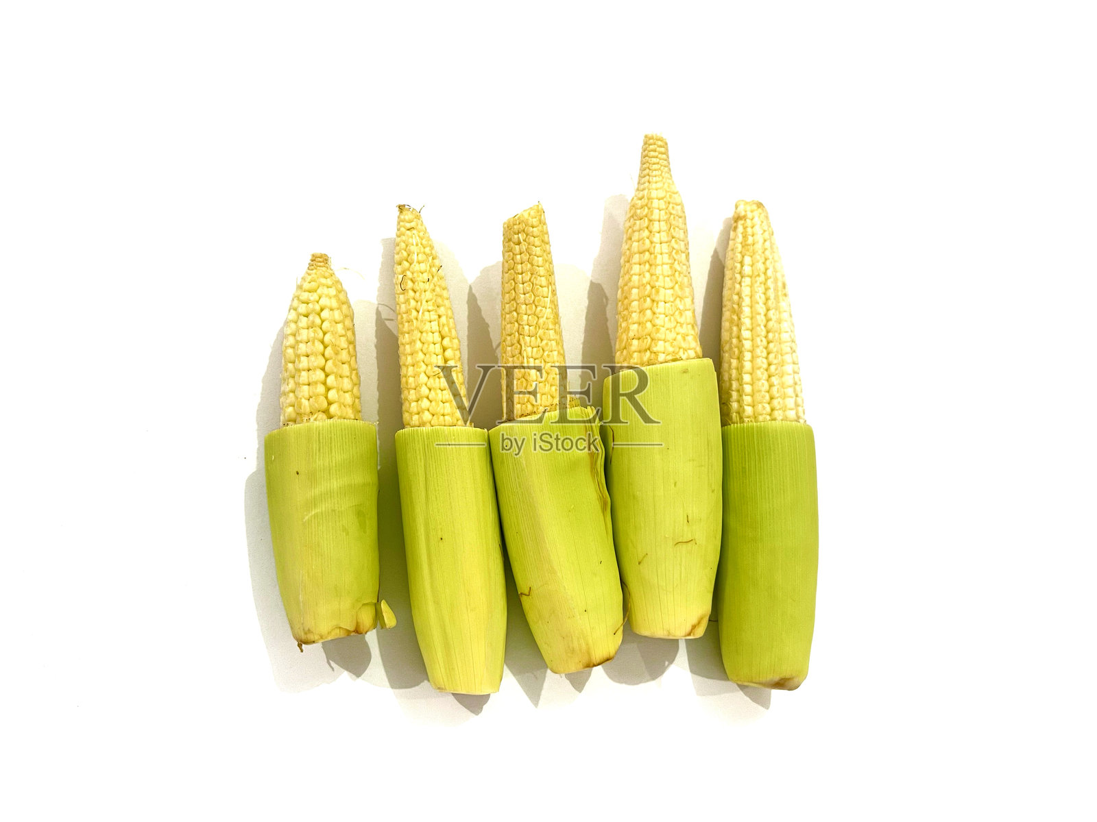 一组婴儿玉米孤立在白色背景上照片摄影图片