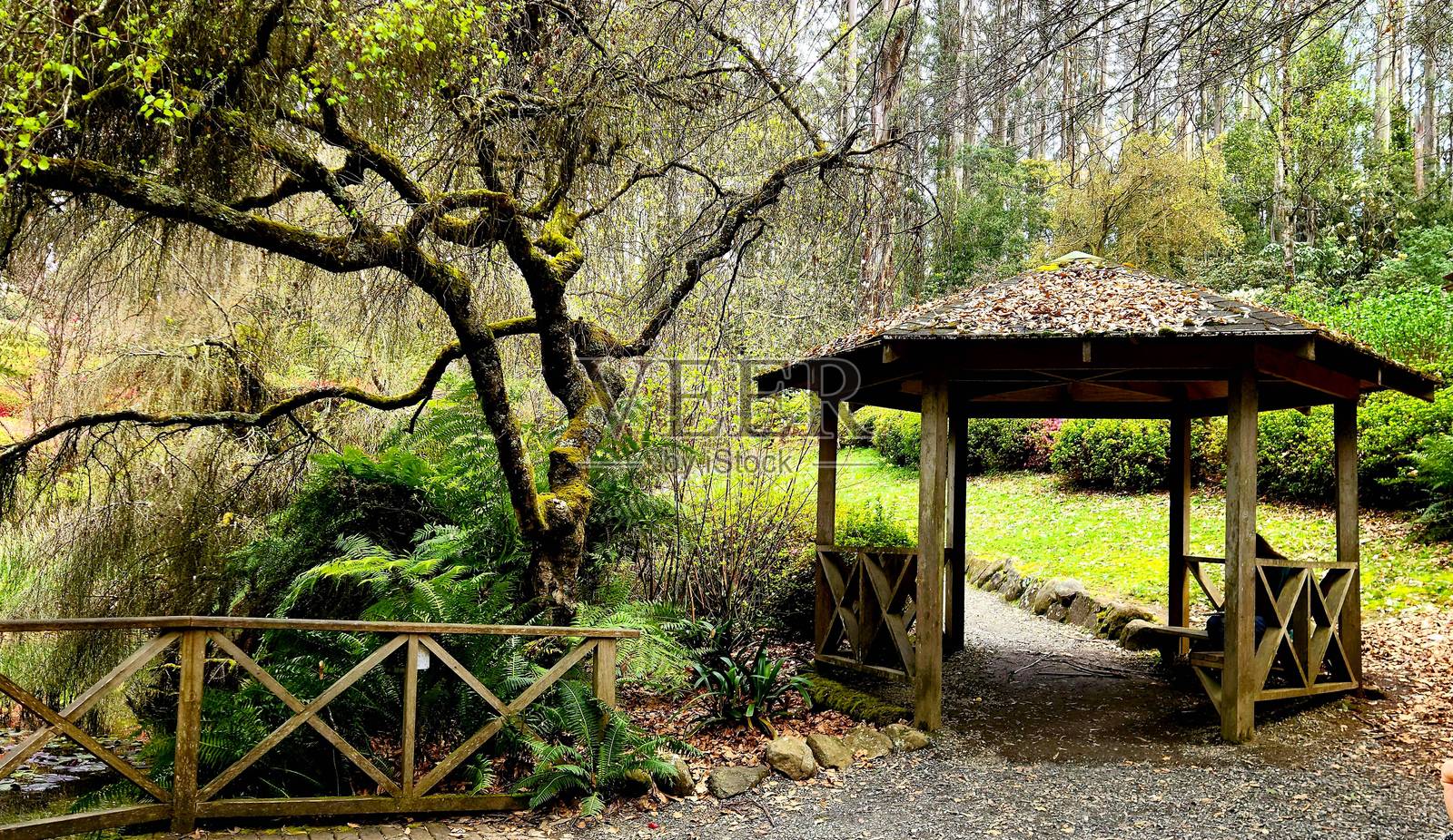 池塘和旧小屋照片摄影图片