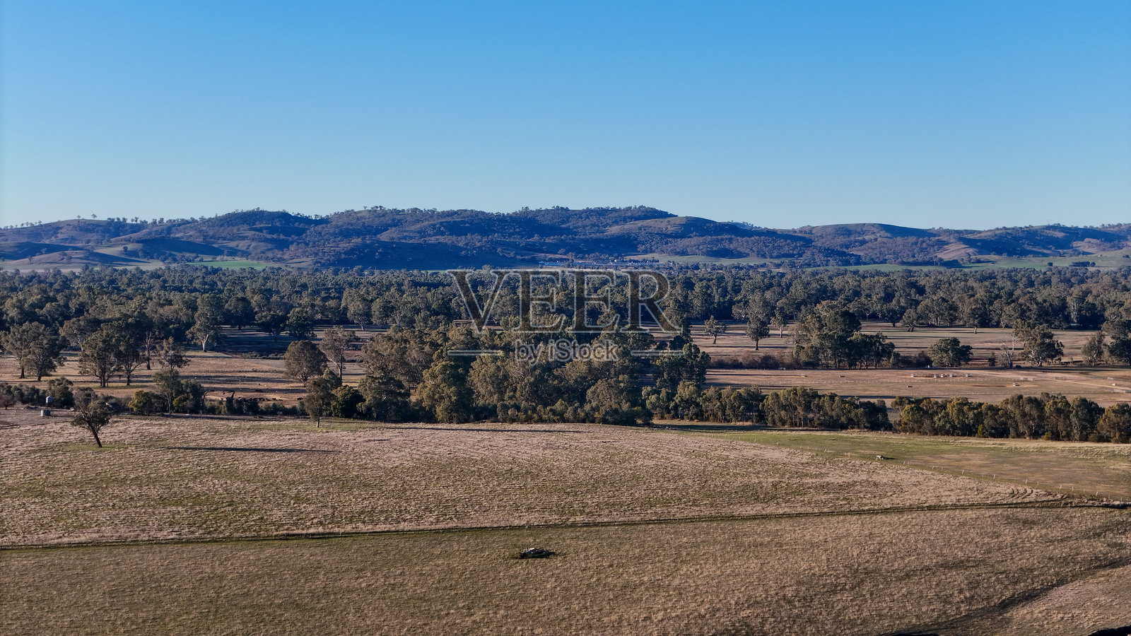 维多利亚州东北部的乡村风景照片摄影图片