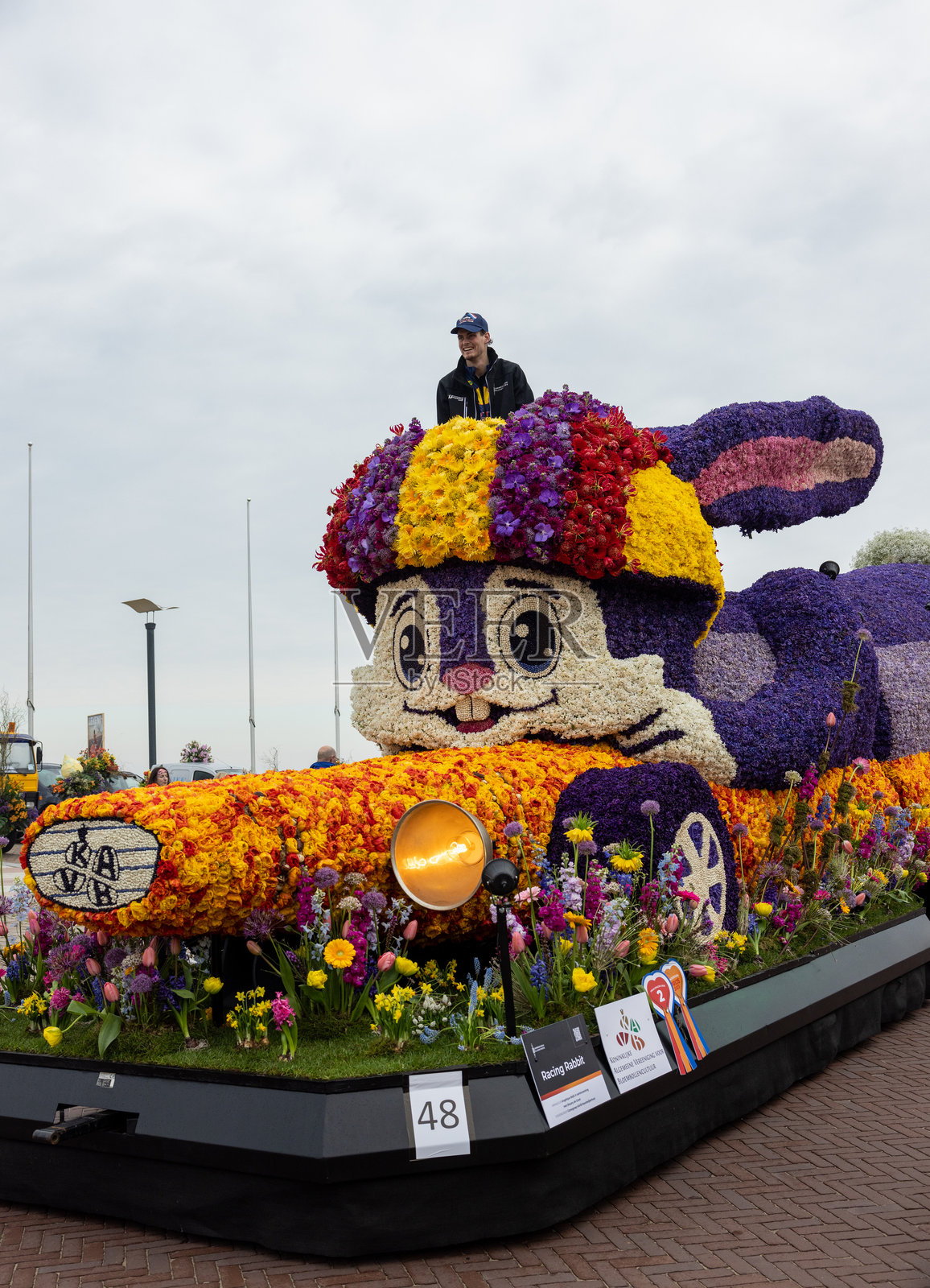 荷兰诺德维克到哈勒姆的传统花卉游行Bloemencorso。照片摄影图片