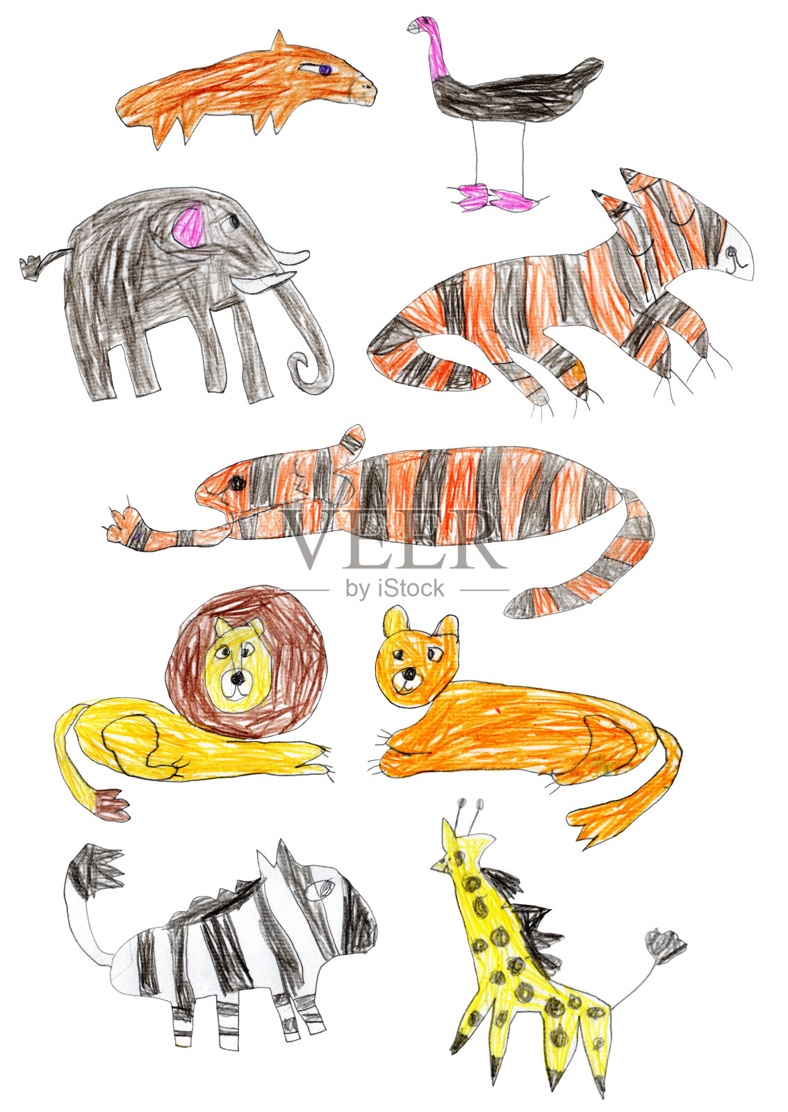 用彩色铅笔手绘的可爱非洲动物素描，背景为白色。照片摄影图片