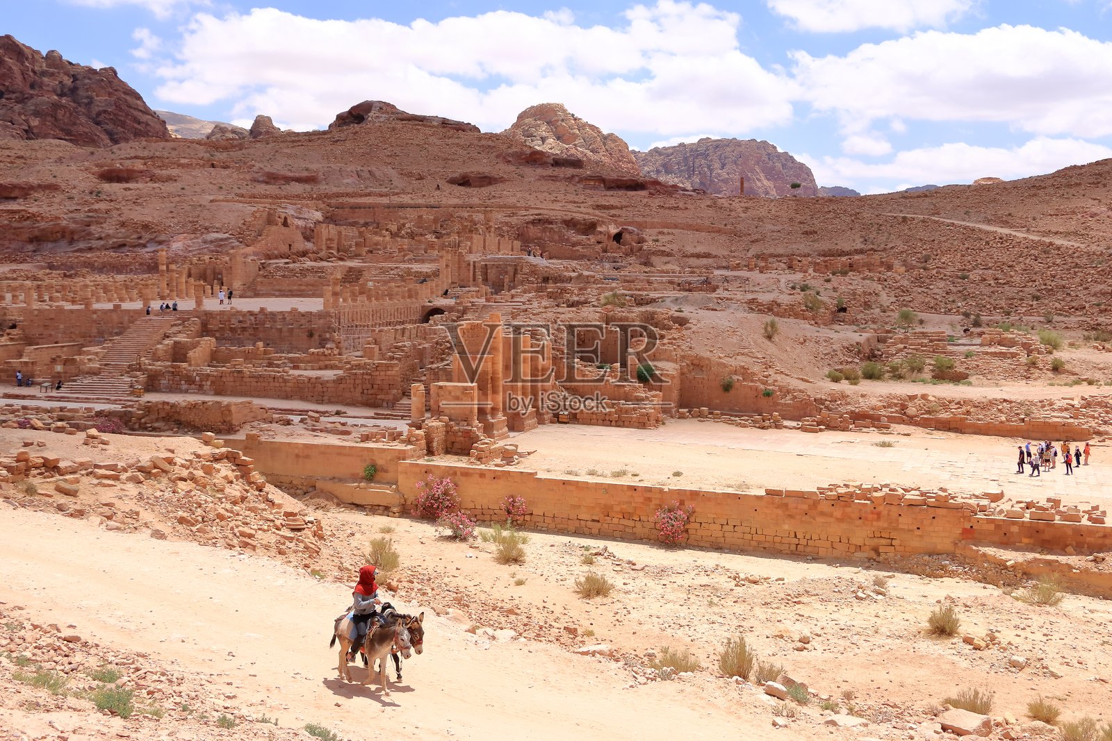 约旦佩特拉镇的旅游运输用驴子照片摄影图片