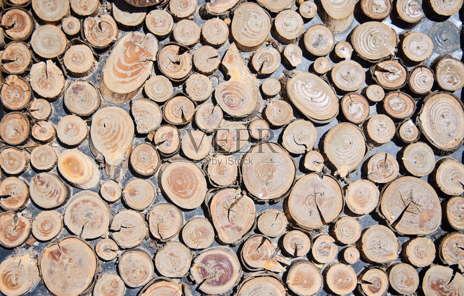 小树切割的纹理。表面，外部装饰照片摄影图片