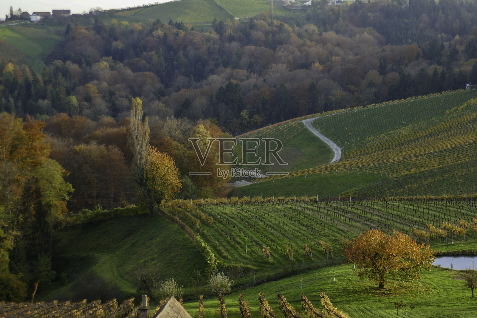 奥地利南施蒂利亚的秋天照片摄影图片