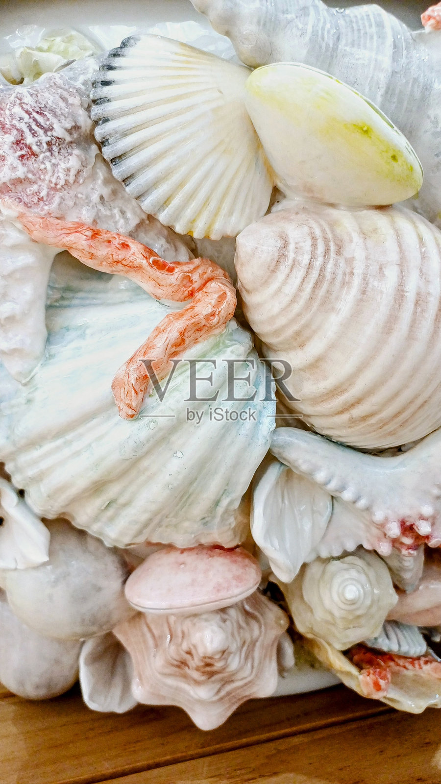 装饰性的海贝和贻贝照片摄影图片