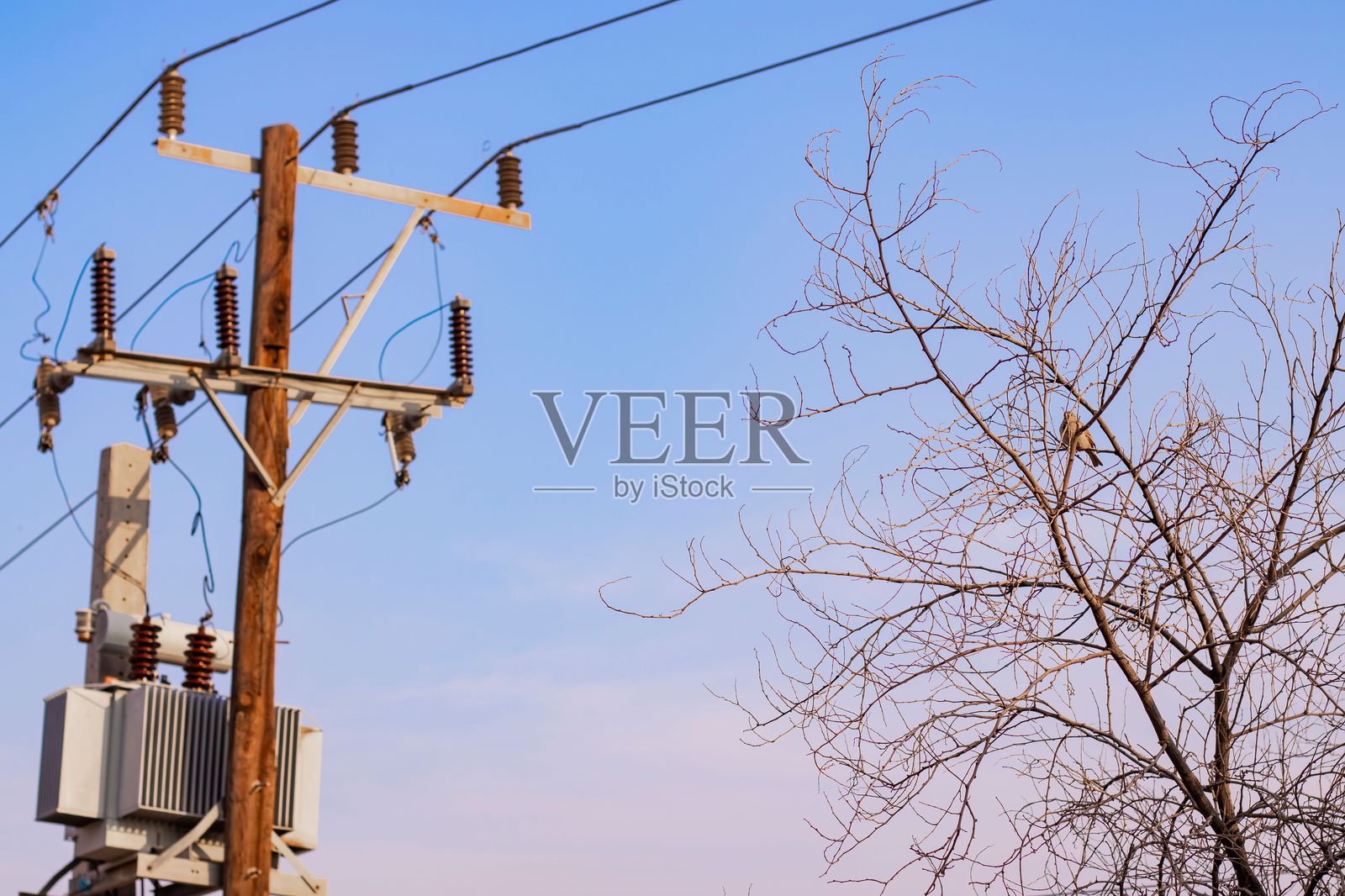带变压器和电线的电杆照片摄影图片