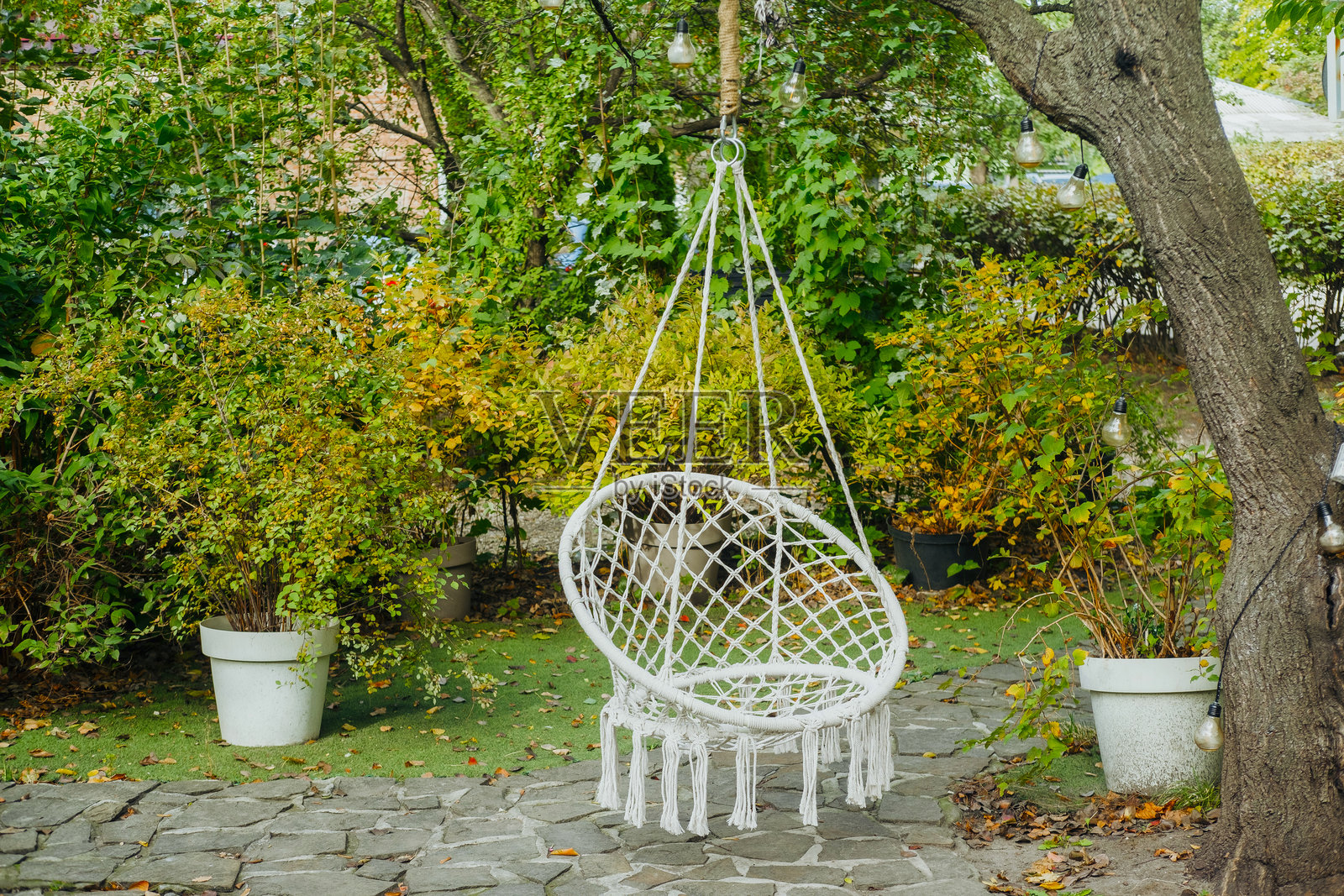 一个舒适的吊椅位于郁郁葱葱的花园中，四周环绕着绿色植物照片摄影图片