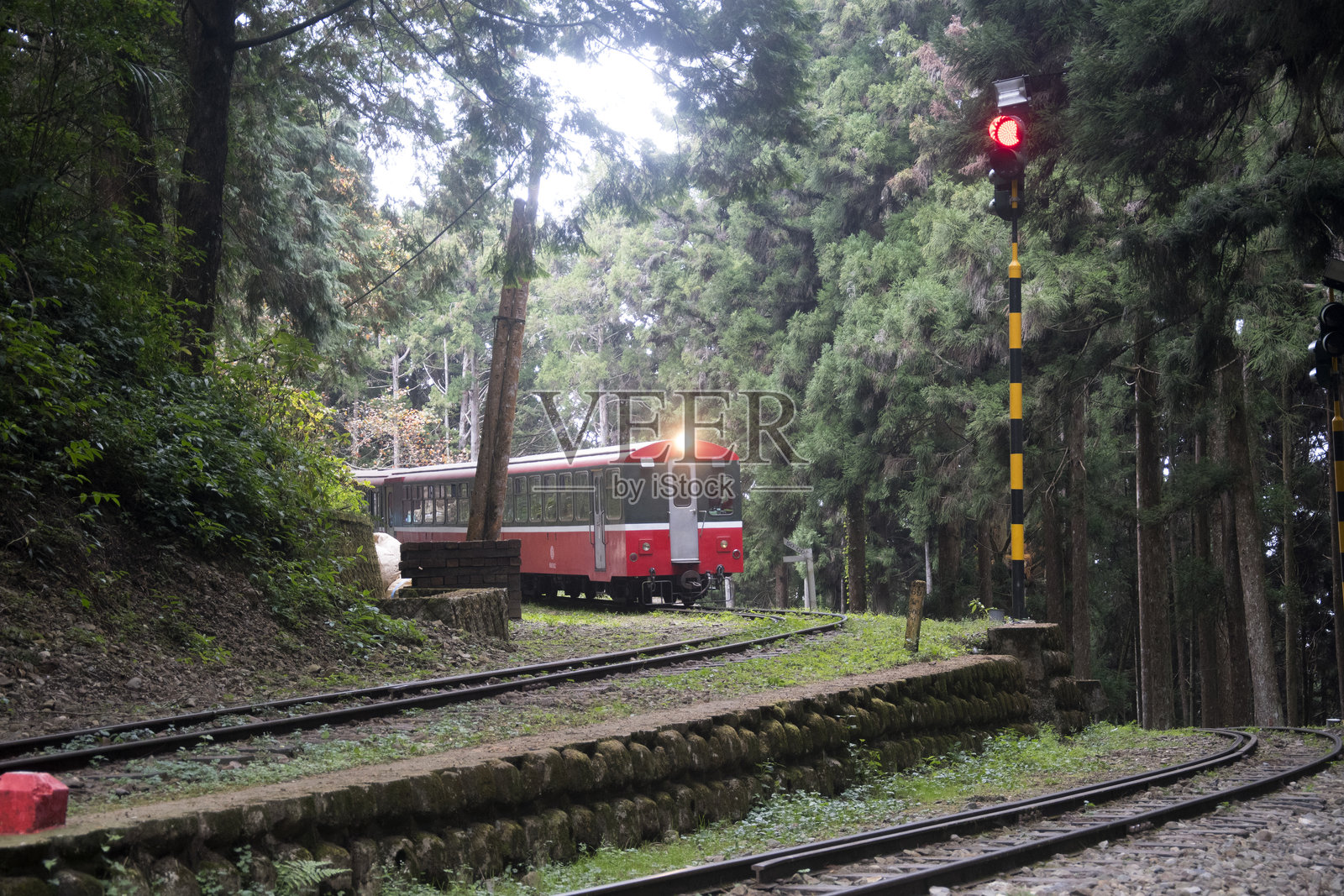 公共列车正驶往台湾阿里山风景名胜区神树站照片摄影图片