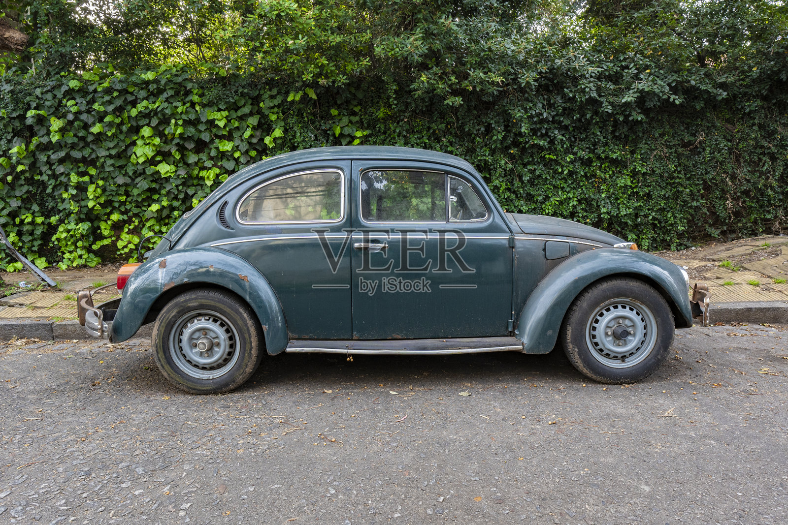 老款大众1300汽车照片摄影图片