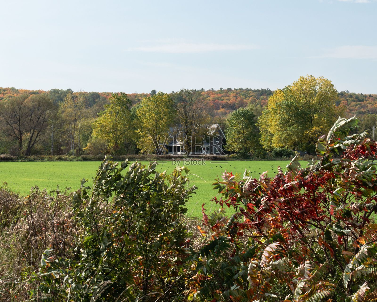 秋季风景中的乡村房屋照片摄影图片