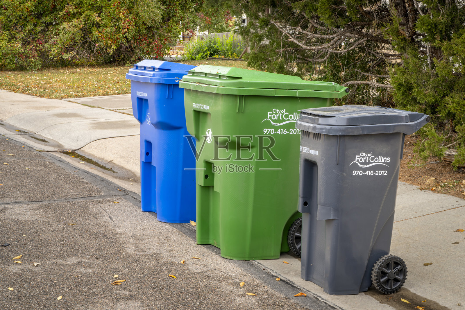 垃圾收集日 - 街道上有三个容器,分别用于家庭垃圾、后院修剪和可回收材料。照片摄影图片