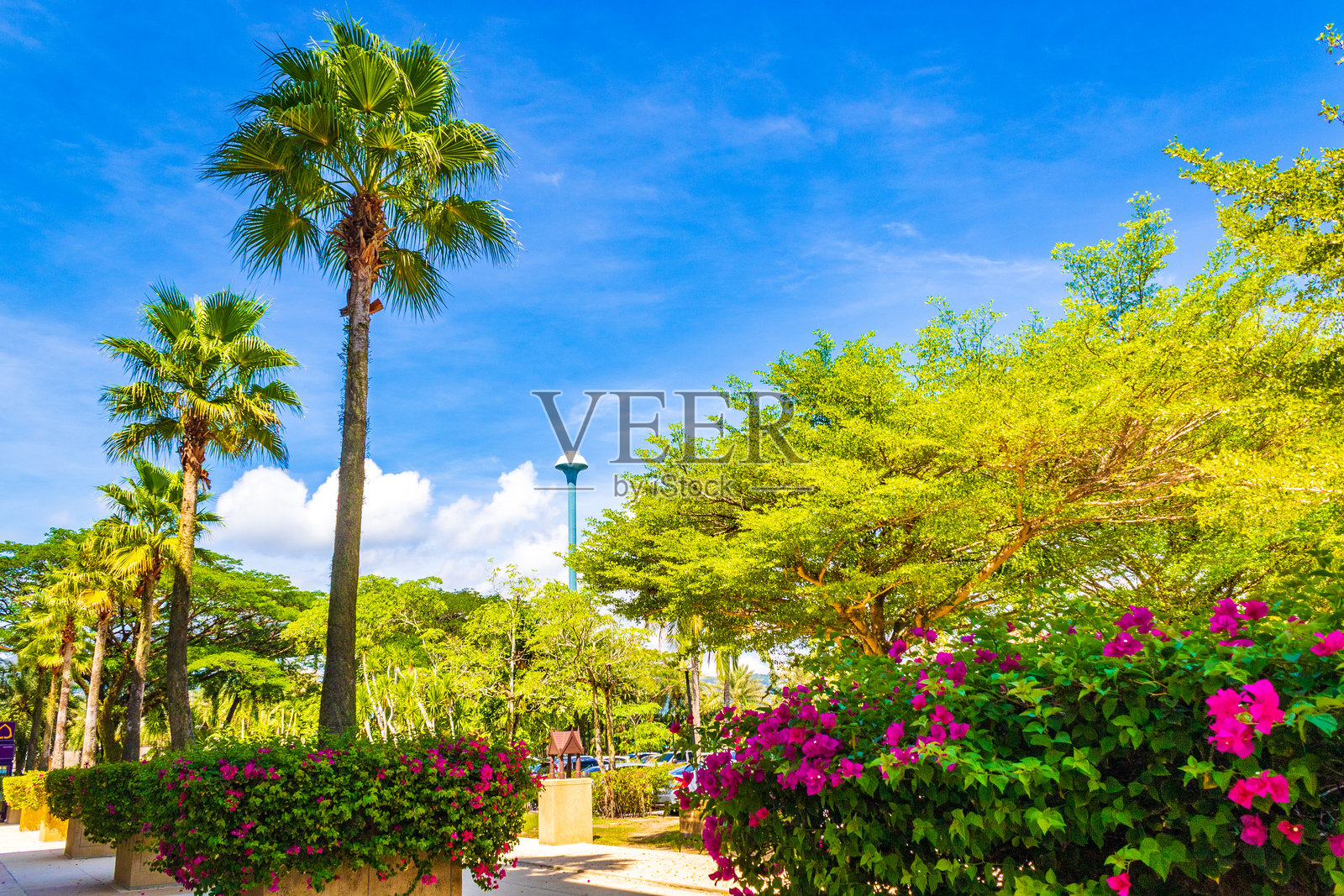 泰国普吉岛皇家码头的奢华建筑照片摄影图片