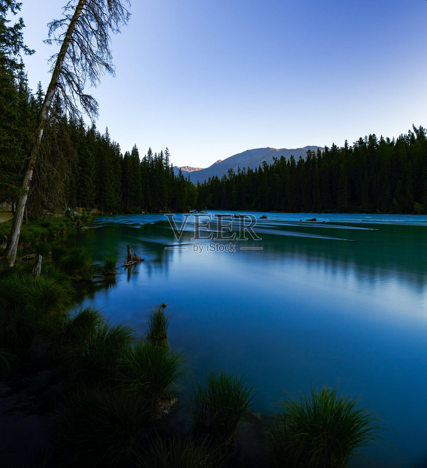 禾木村 阿勒泰地区照片摄影图片