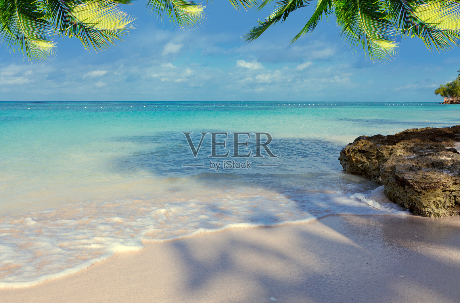 加勒比海滩上的热带棕榈树与蓝天背景。照片摄影图片