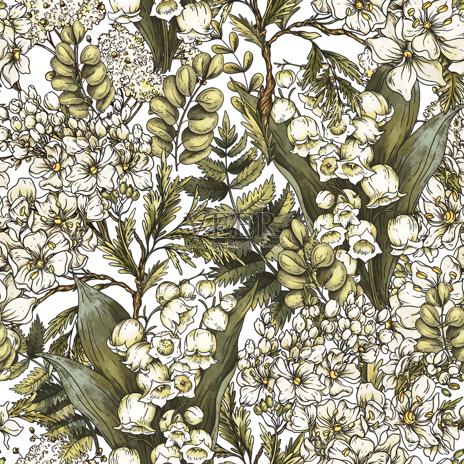 复古植物白花无缝图案，蕨类植物和蛾子照片摄影图片