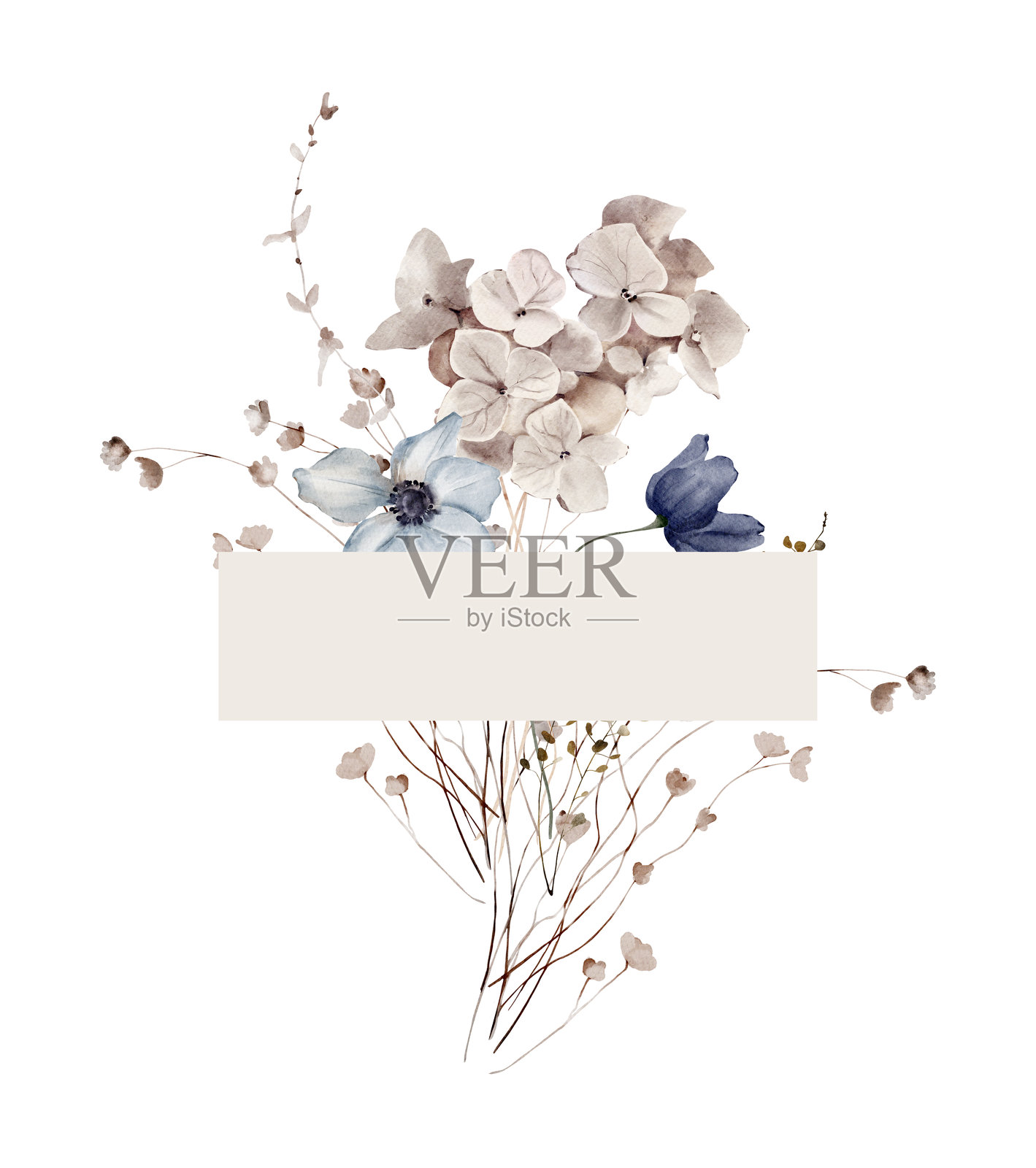 水彩边框，配有银莲花、干草药和绣球花照片摄影图片