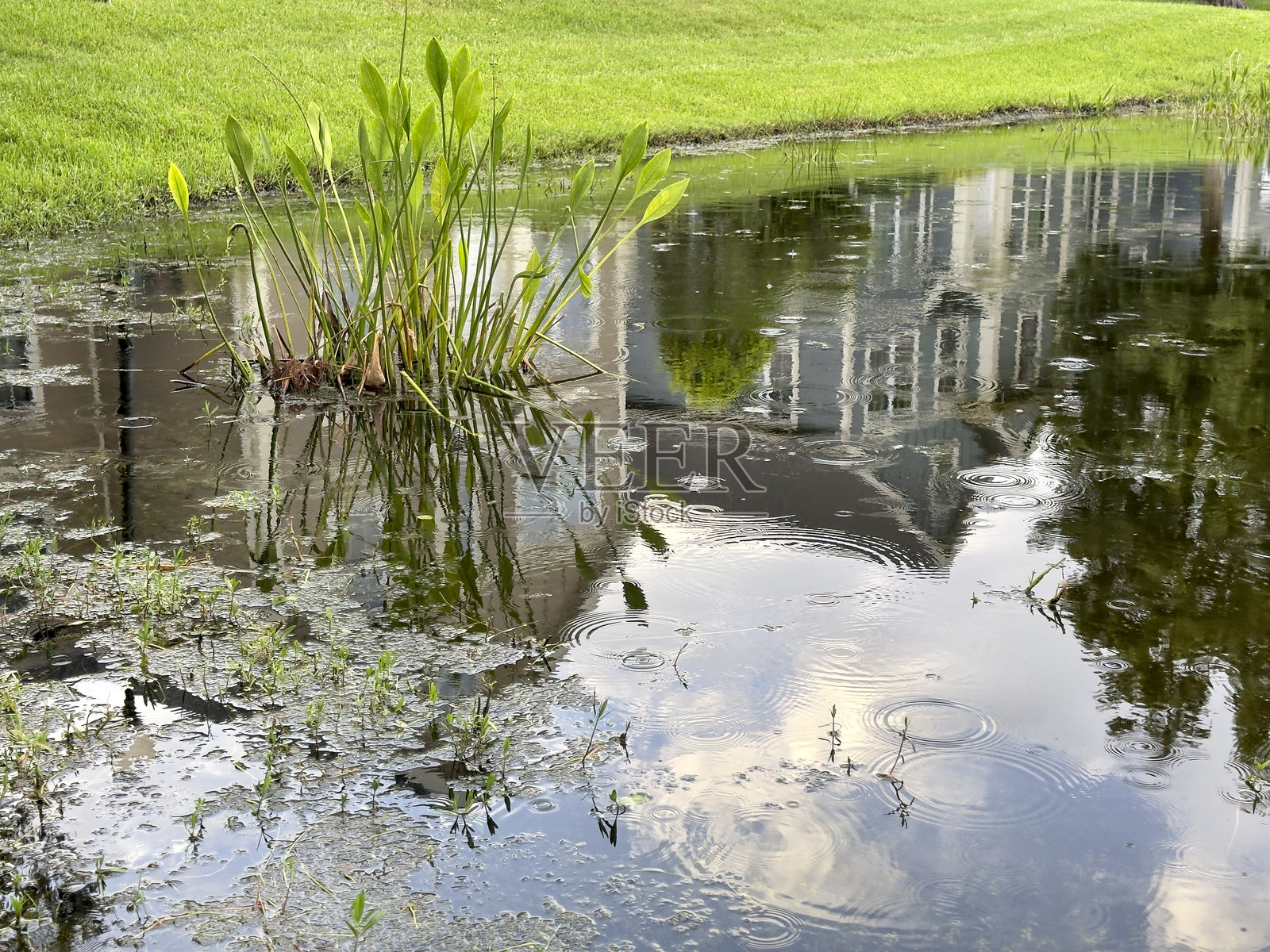雨天住宅区湖面照片摄影图片