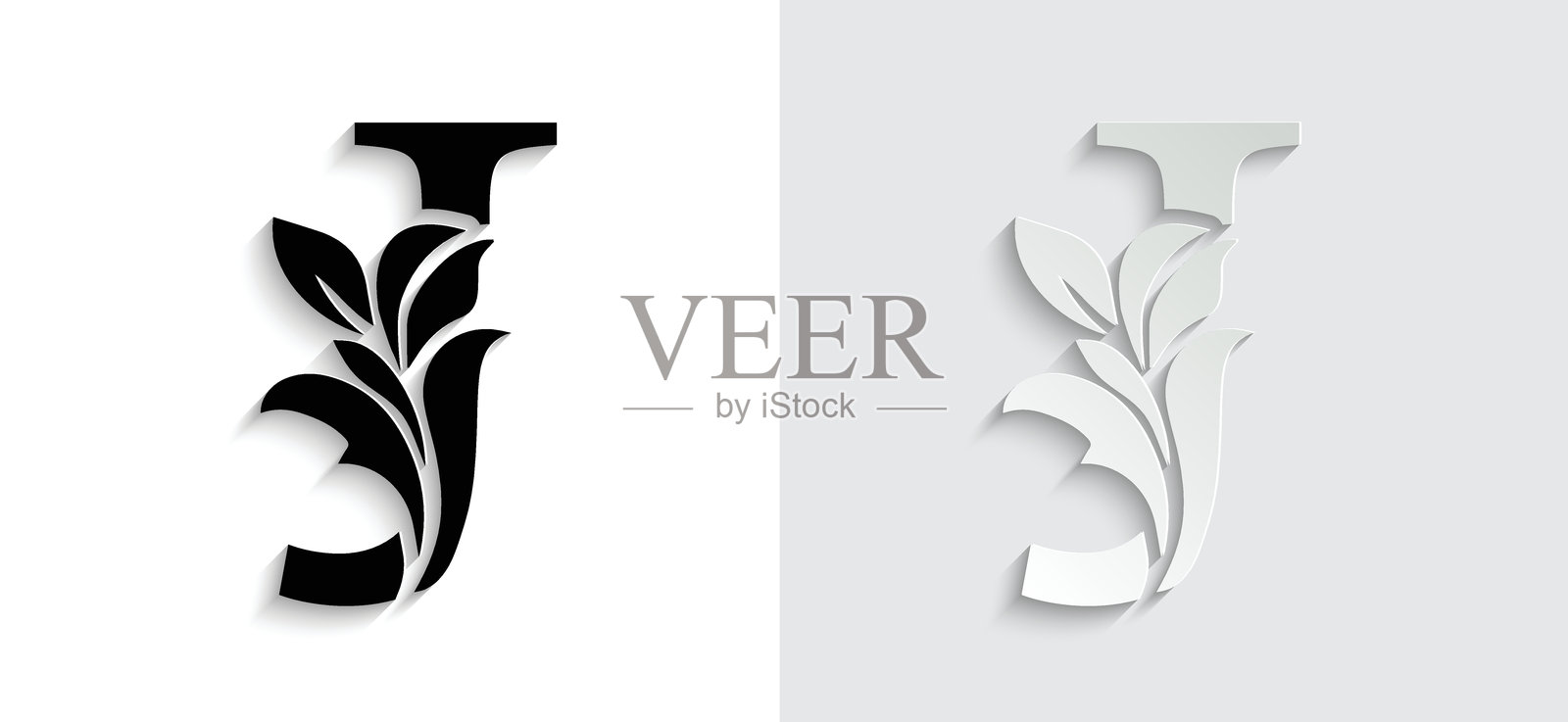 字母J 黑色花朵字母表。插画图片素材