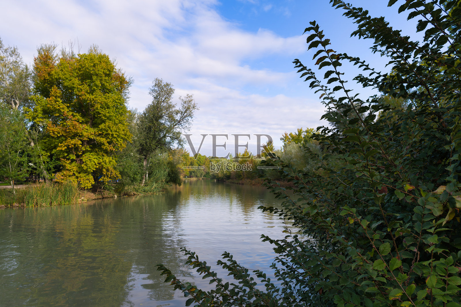河流、埃布罗河、西班牙、阿兰胡埃斯、自然、水、早晨的风景照片摄影图片