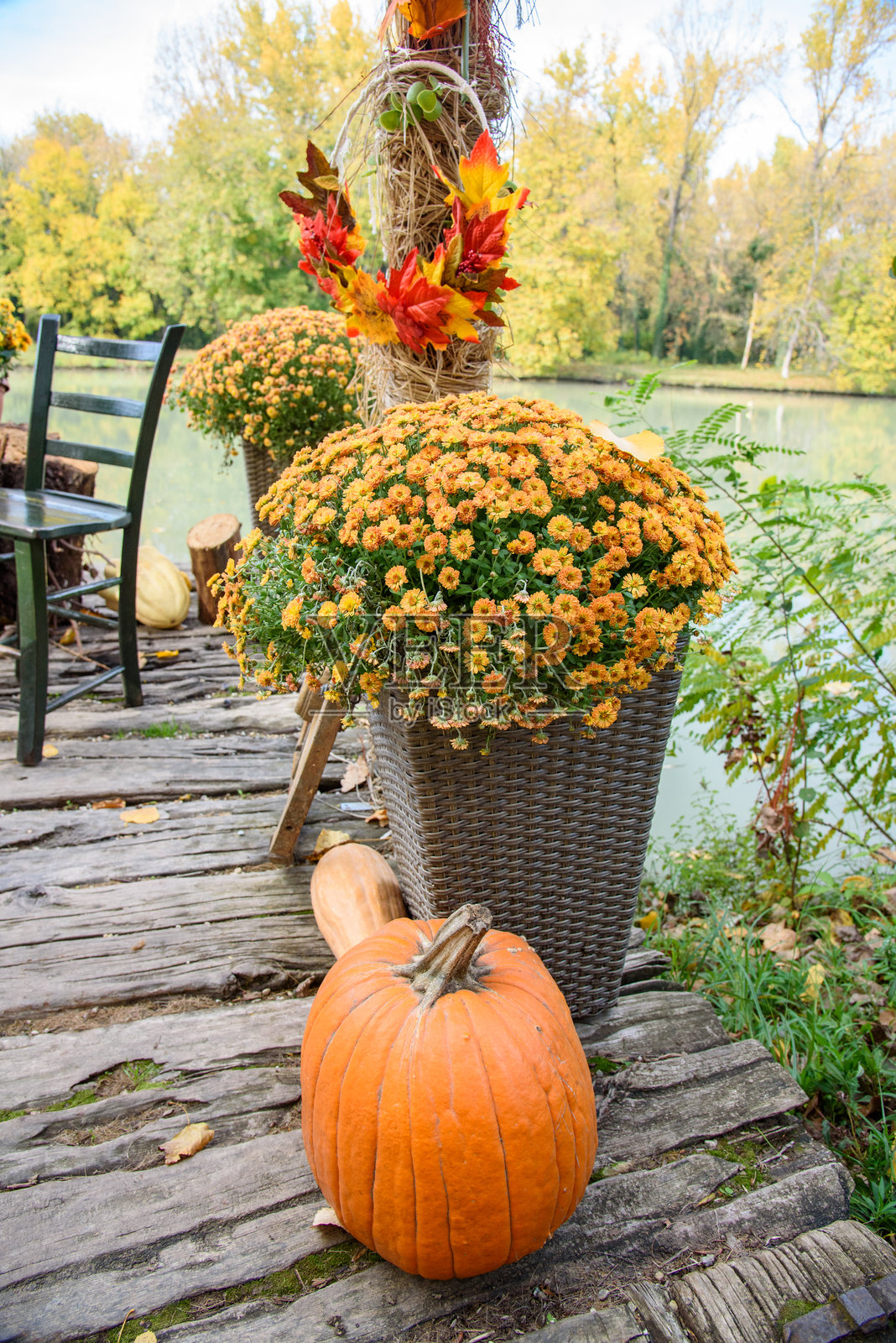 秋季万圣节南瓜装饰与公园背景照片摄影图片