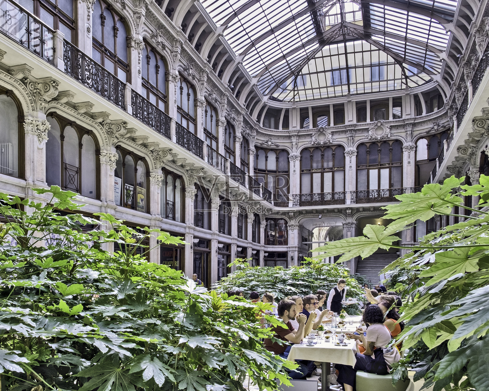 都灵照片摄影图片