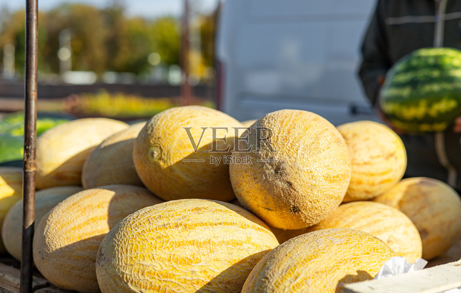 商店里展示的哈密瓜。哈密瓜、甜瓜、加利亚瓜或蜜瓜，在印度市场出售的新鲜夏季水果，甜瓜，日本甜瓜。照片摄影图片