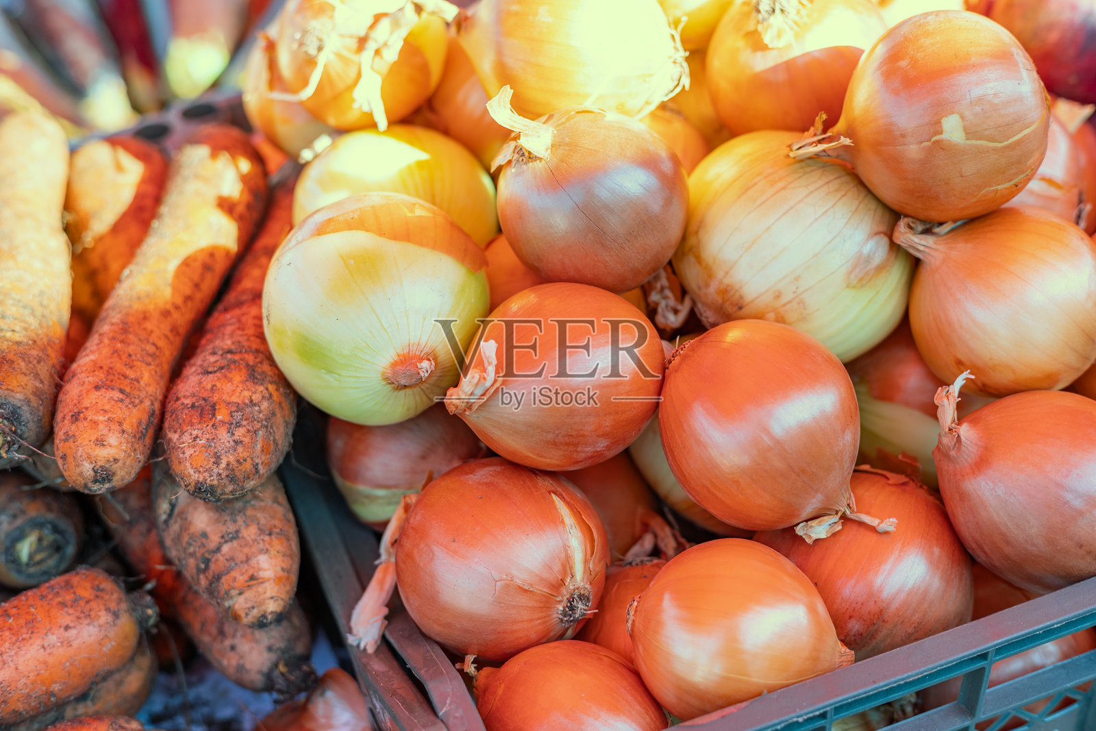 刚从田里采摘的洋葱。新鲜的洋葱。背景中的洋葱。成熟的洋葱。市场摊位上的洋葱。洋葱概念。照片摄影图片