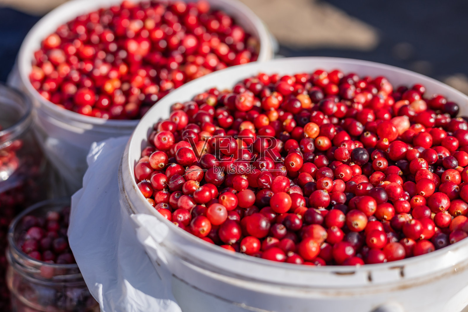 新鲜健康的红色蔓越莓在街头食品市场中准备出售和食用，特写镜头照片摄影图片