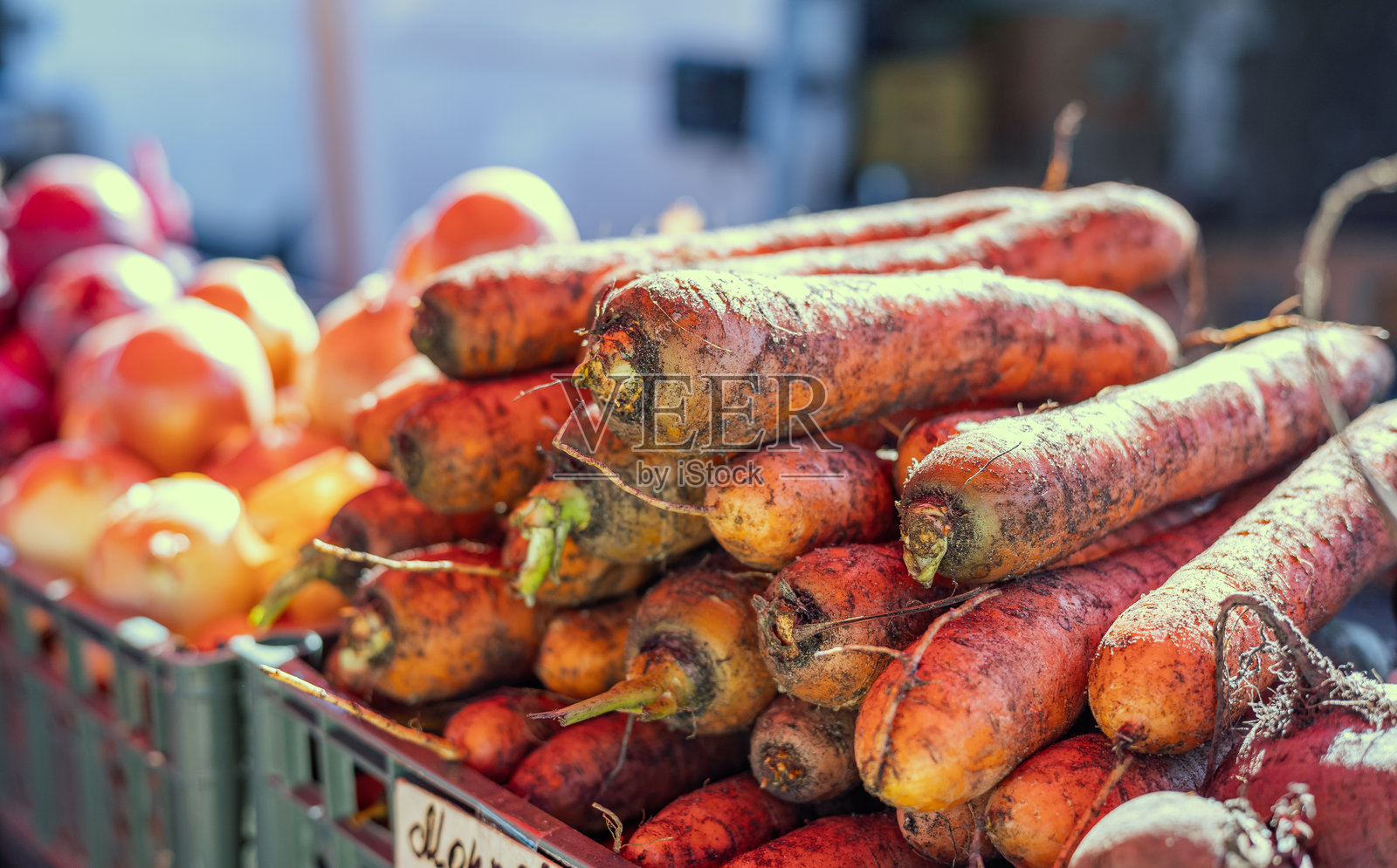 新鲜有机胡萝卜的特写堆。市场上收获的年轻生蔬菜。烹饪、自家园艺和健康食品的概念，增强免疫力的维生素。照片摄影图片