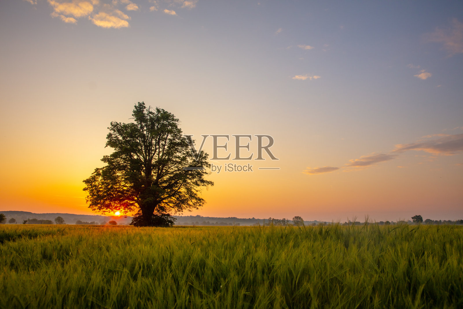 郁郁葱葱的农田上空的日落照片摄影图片