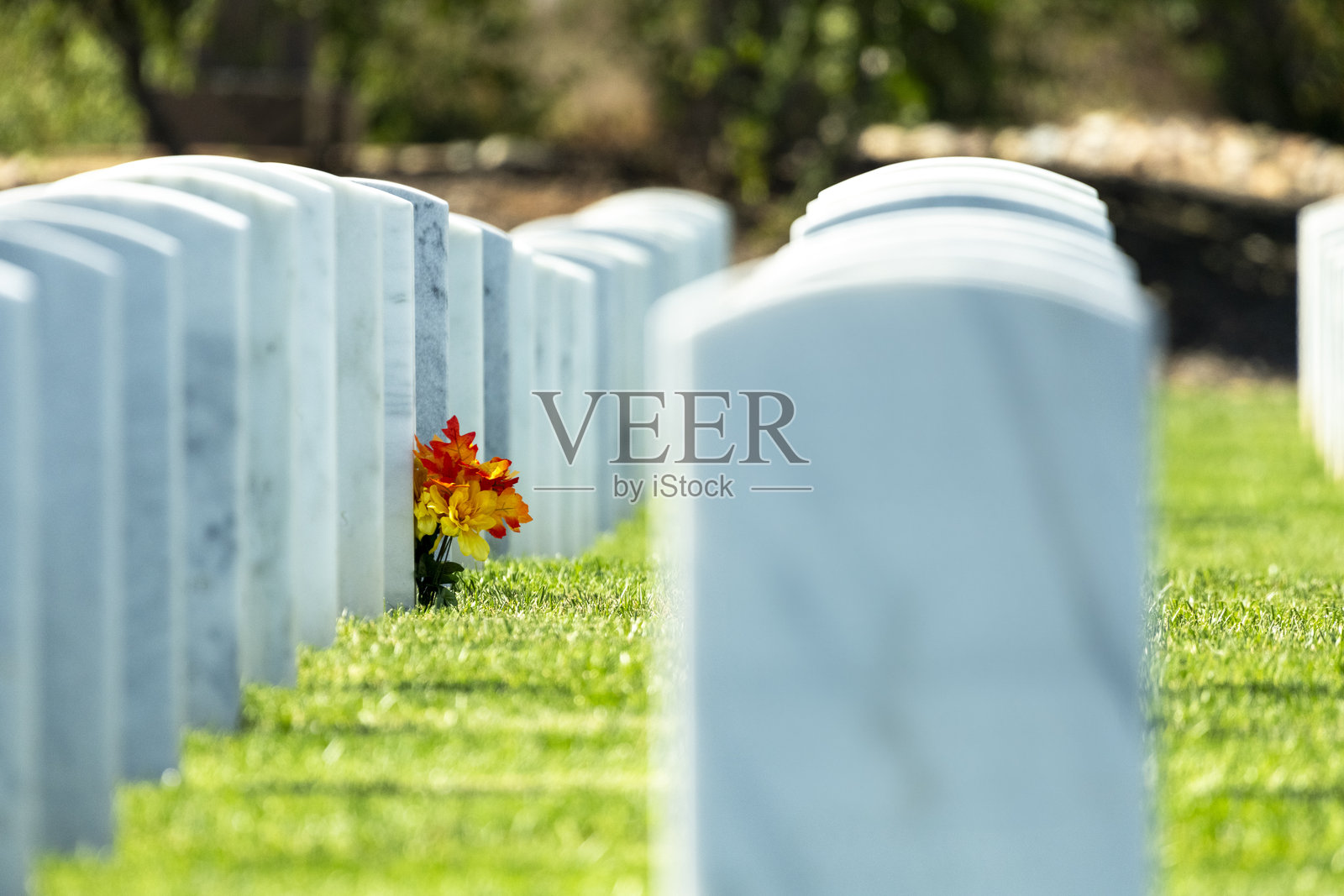 墓碑上放着鲜花照片摄影图片