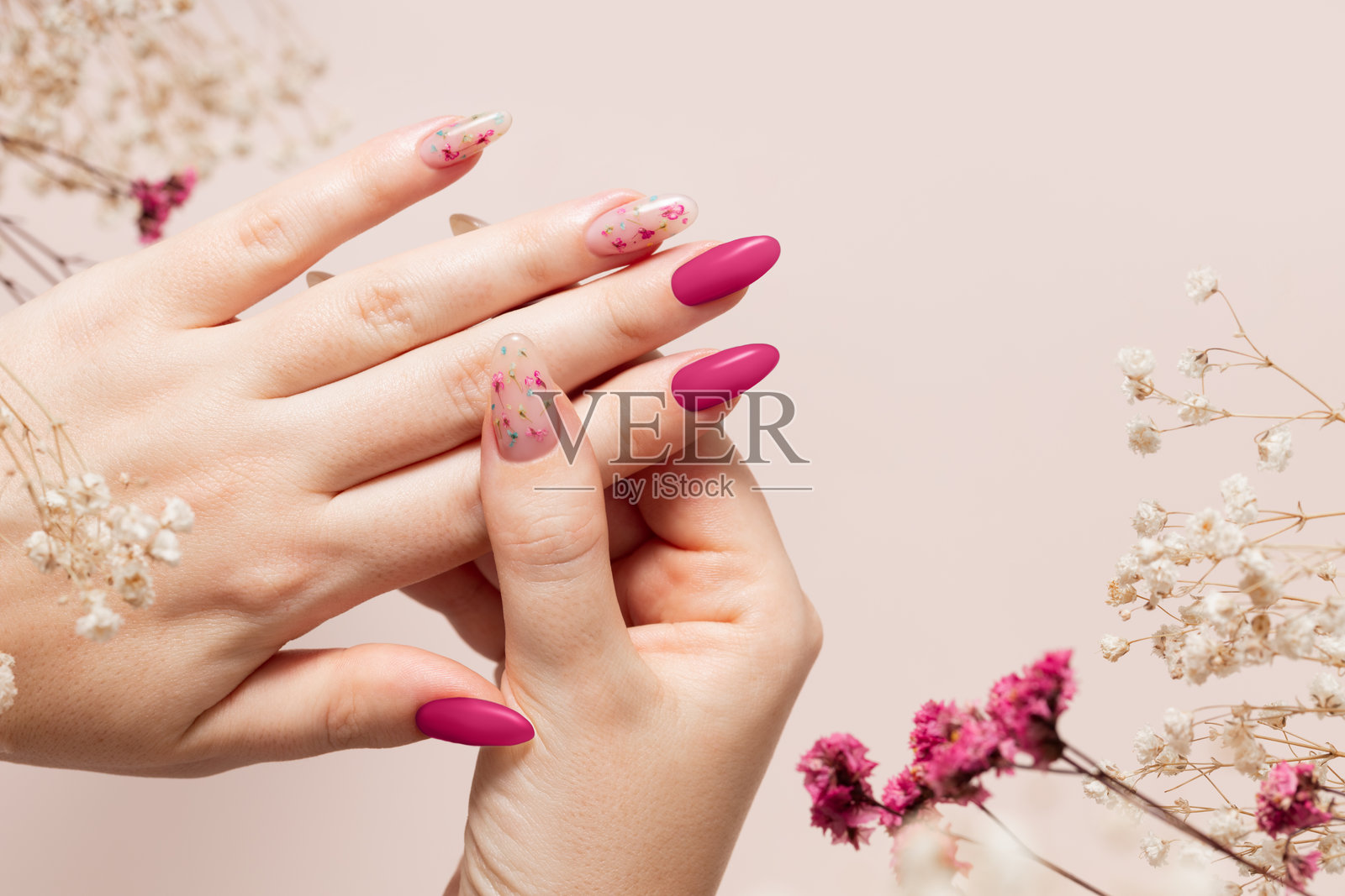 春季女性手部美甲，使用粉色凝胶指甲油和干花设计，满天星花。照片摄影图片