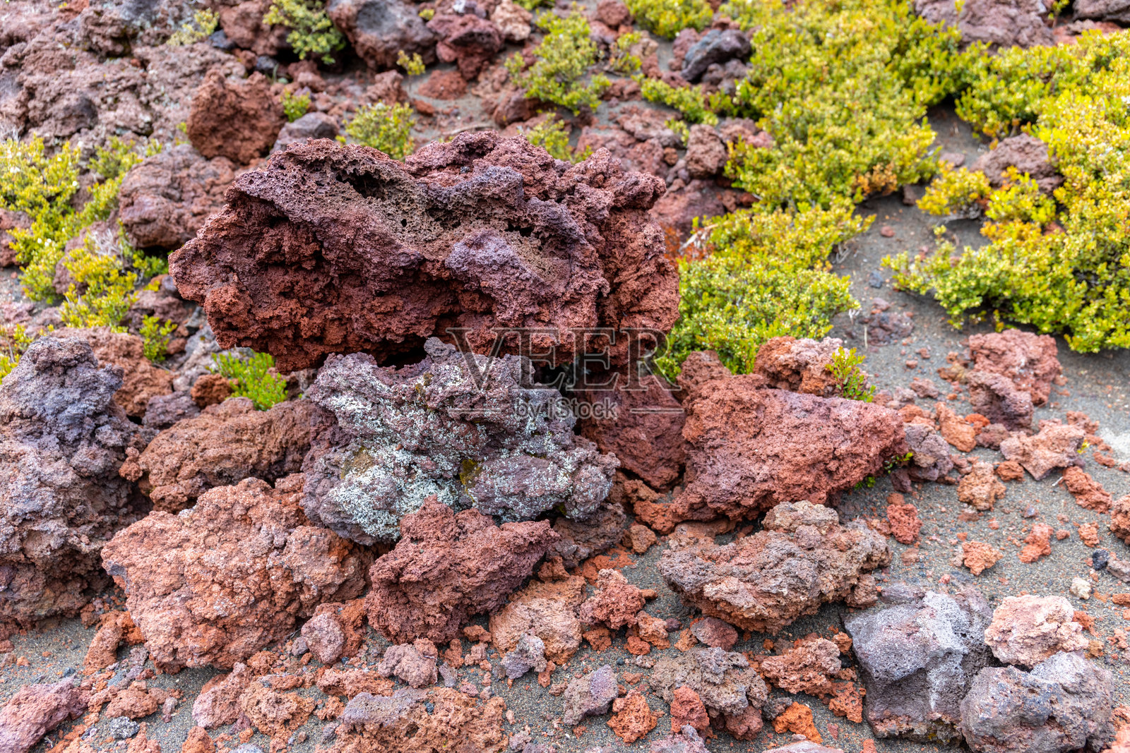 智利的奥索尔诺火山。火环中的火山口、红色岩石和白雪覆盖的山顶。照片摄影图片